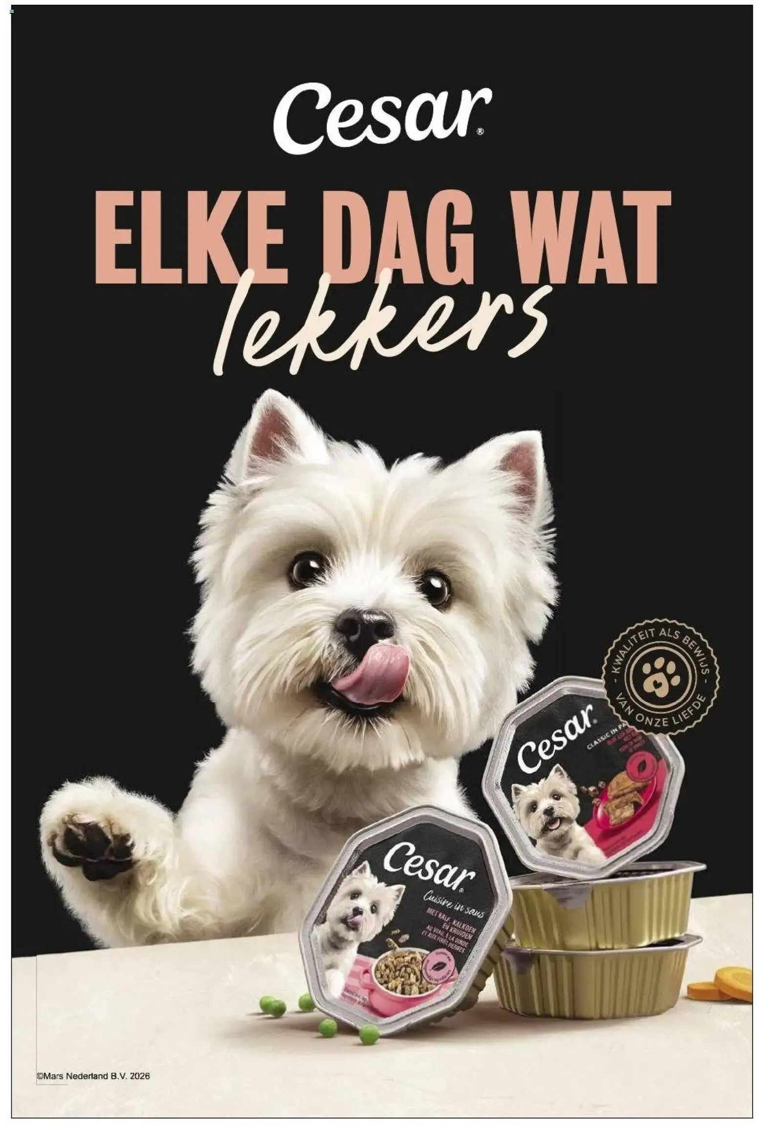 Lekker doen van 16 oktober tot 29 november 2026 - Folder pagina 51