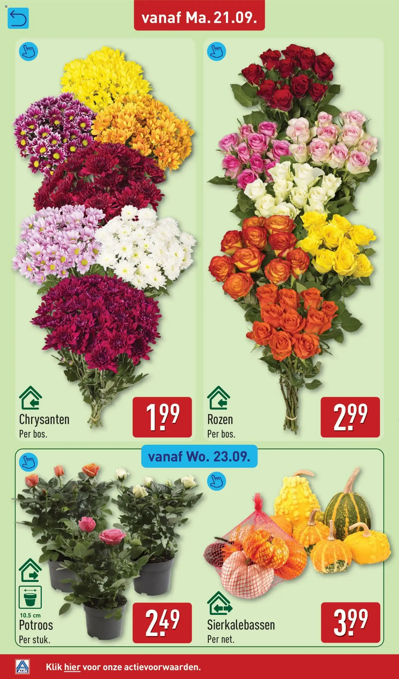 Aldi folder vanaf 21-09-2026 (volgende, deze week) van 21 september tot 27 september 2026 - Folder pagina 43