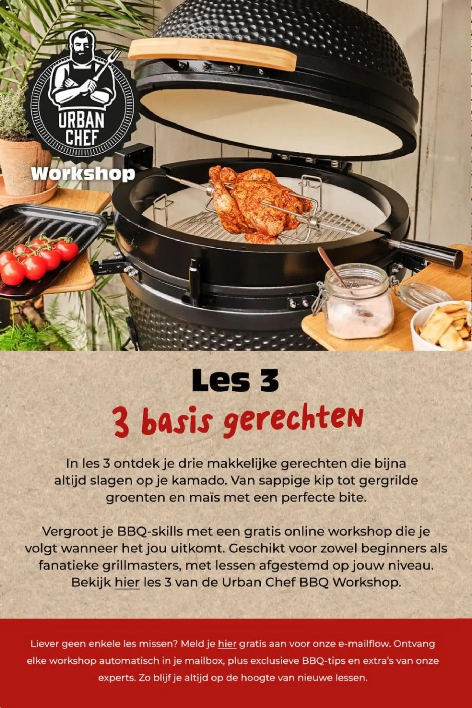 Bloeiend de zomer door van 6 juli tot 12 juli 2026 - Folder pagina 10