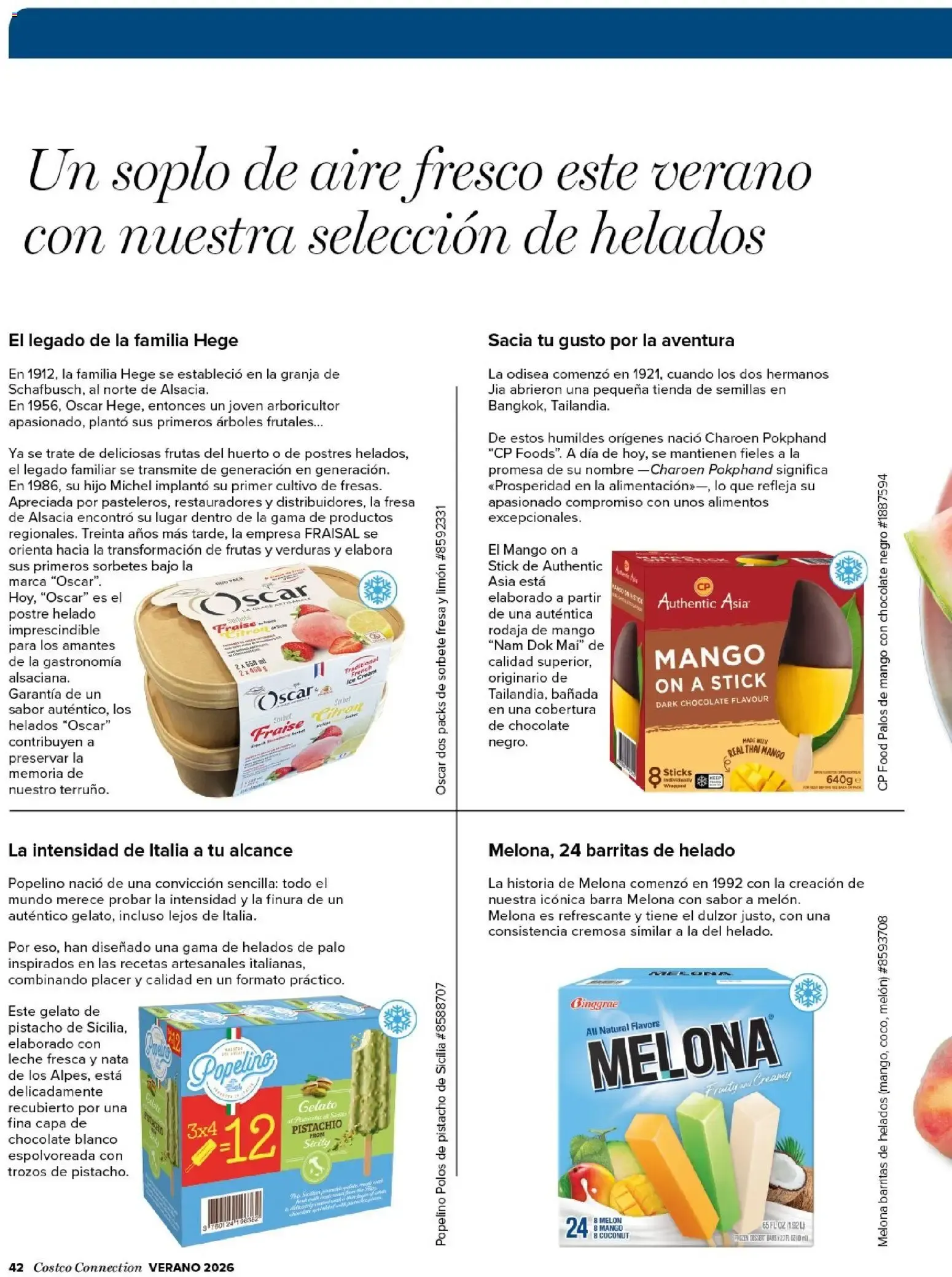 Catálogo de COSTCO Connection 15 de junio al 31 de octubre 2026 - Página 41