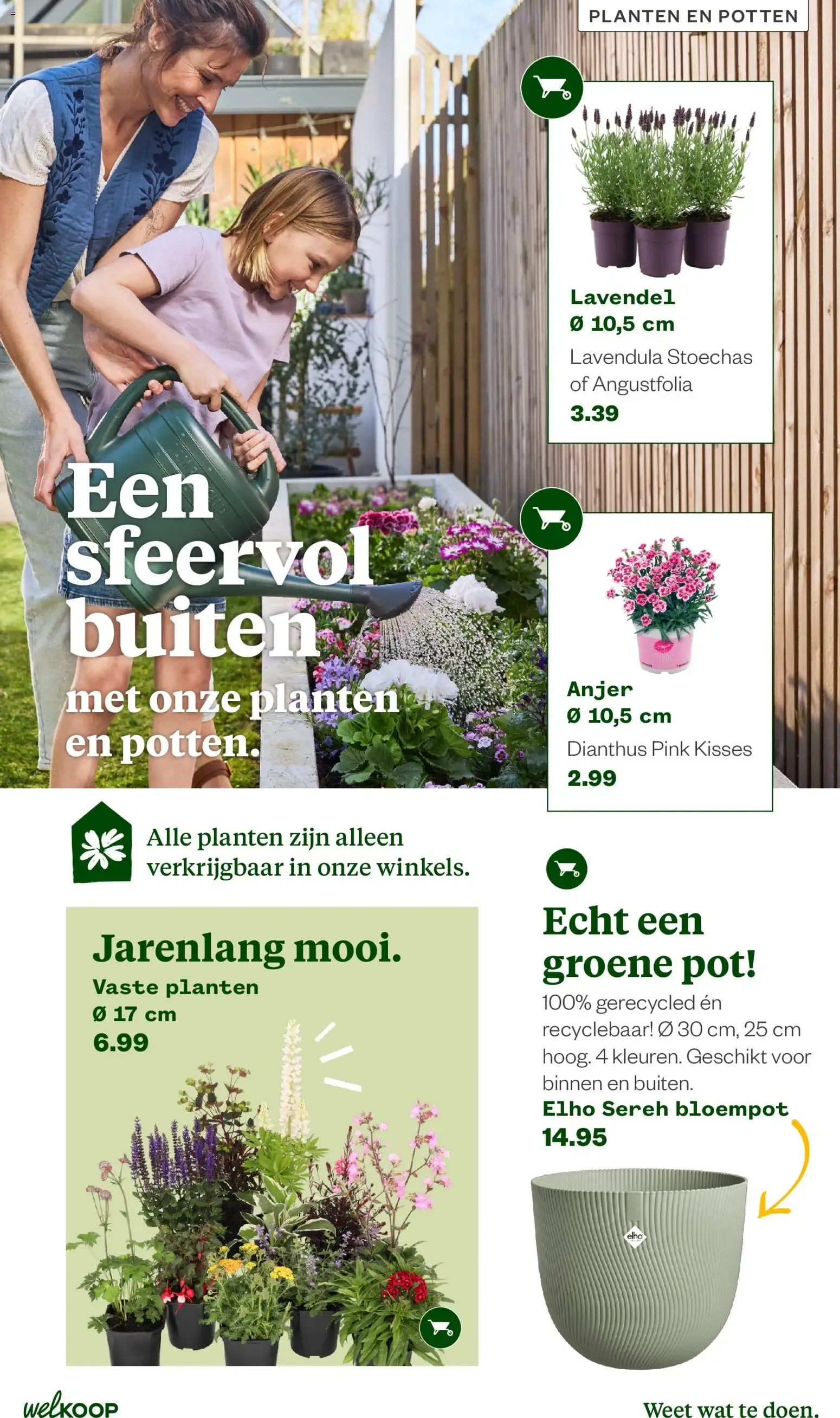 Welkoop Zomermagazine 2026 van 22 juni tot 23 augustus 2026 - Folder pagina 8