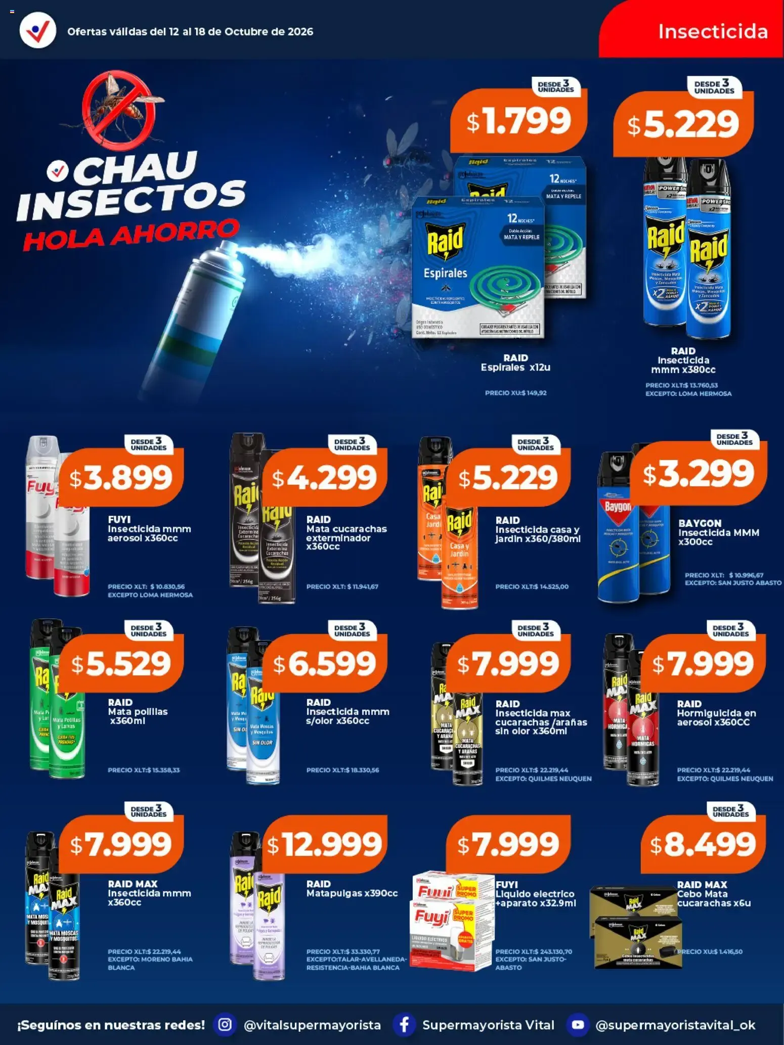 Ofertas de VITAL SUPERMAYORISTA EL MAYORISTA DE TU AHORRO 12 de octubre al 18 de octubre 2026 - Página 10 del catálogo
