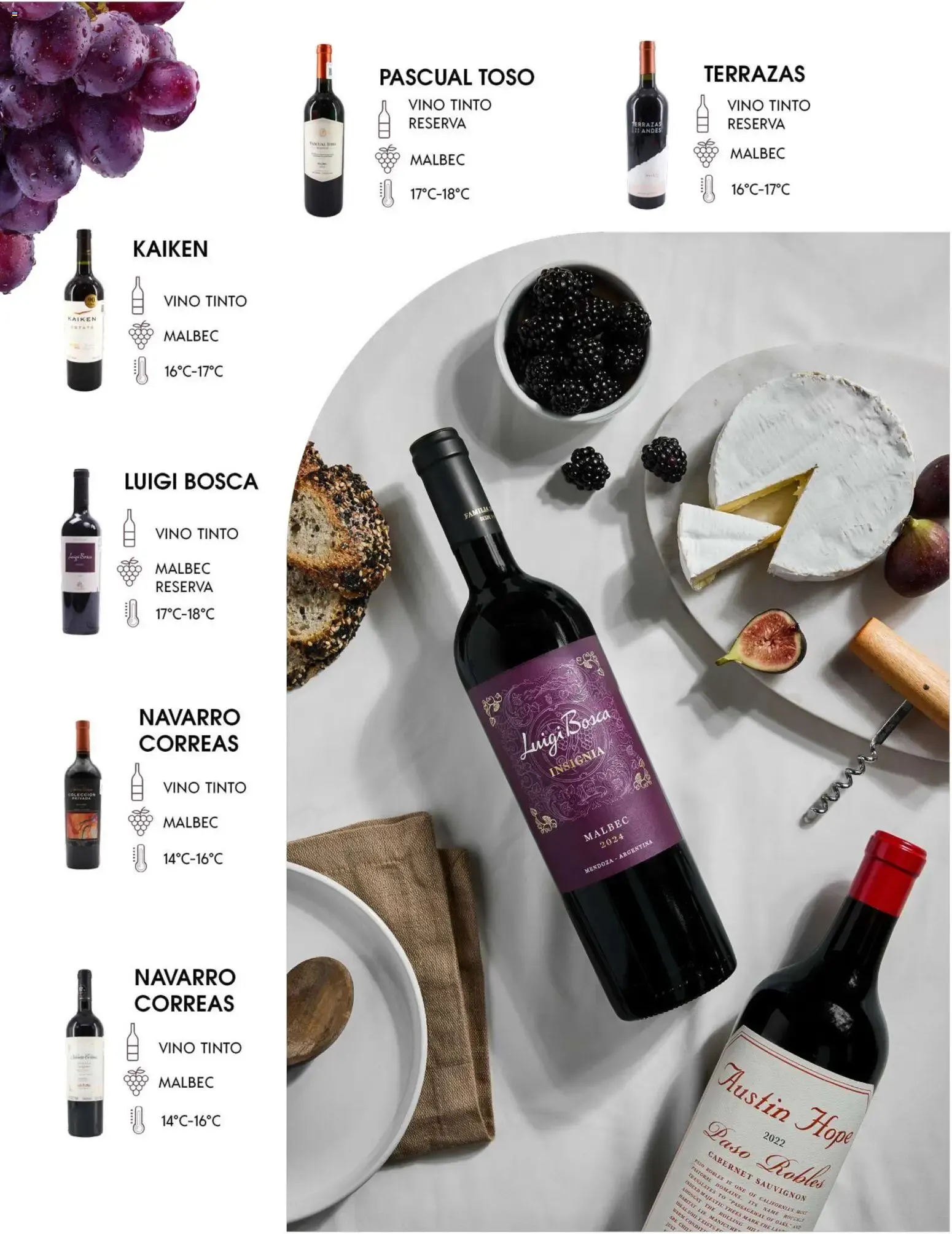 Catálogo de Festival del Vino - Cabernet Sauvignon 29 de septiembre al 29 de septiembre 2026 - Pagina 3