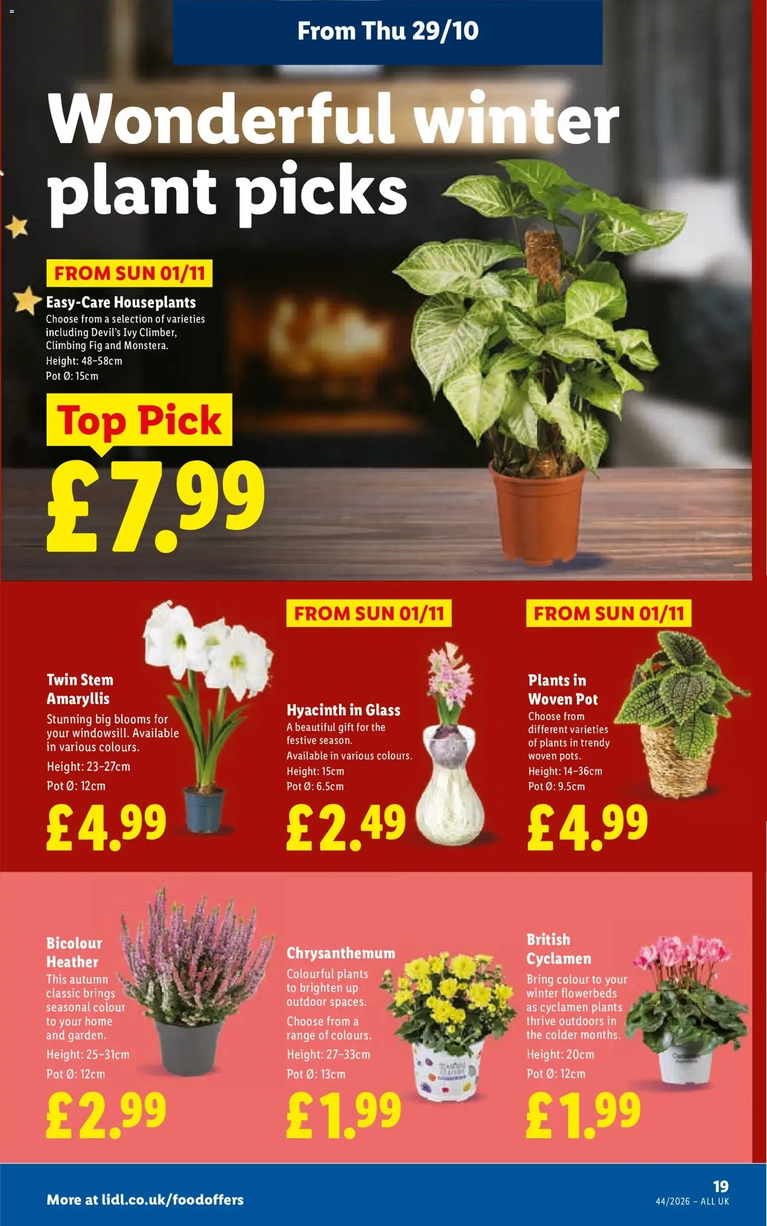 Lidl: Bringing a taste of Greece to Scotland from 29 October to 4 November 2026 - Catalogue Page 23