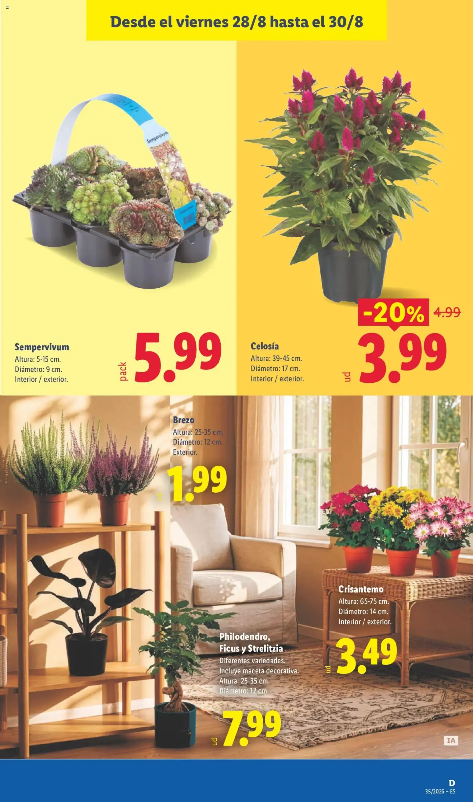 Catálogo de Lidl: Ahorra el doble - Ofertas 24 de agosto al 30 de agosto 2026 - Página 43