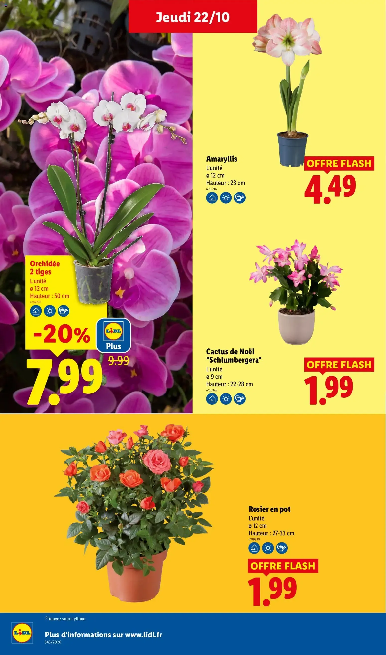 Lidl: Le Moins Toujours Plus du 22 octobre au 28 octobre 2026 - Catalogue page 35
