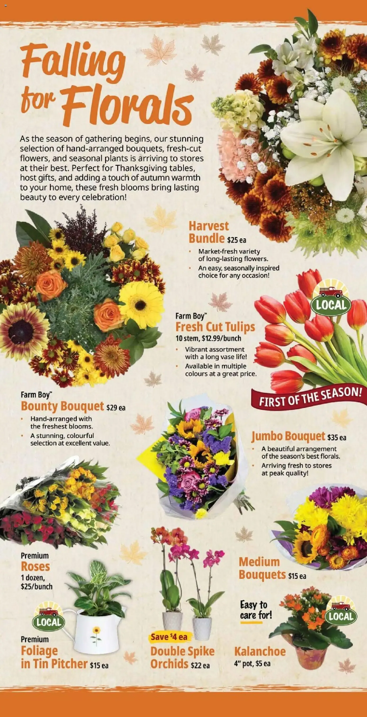 Farm Boy weekly flyer / circulaire from Oct 1, 2026 > weekly specials & deals from October 1 to October 7 2026 - flyer page 7