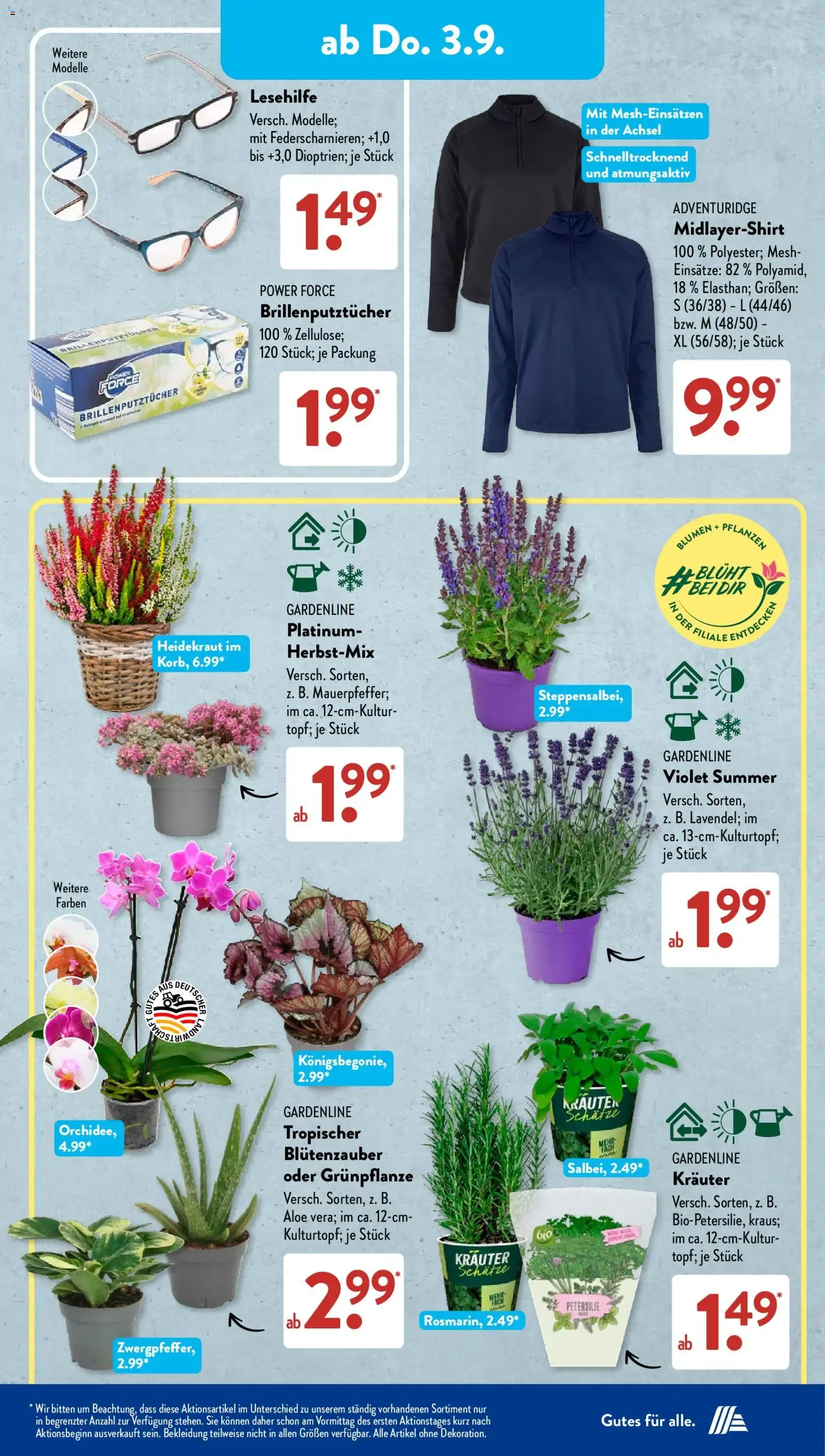 ALDI SÜD Tiefpreis-Highlight Prospekt von 31. August bis 5. September 2026 - Prospekt seite 8