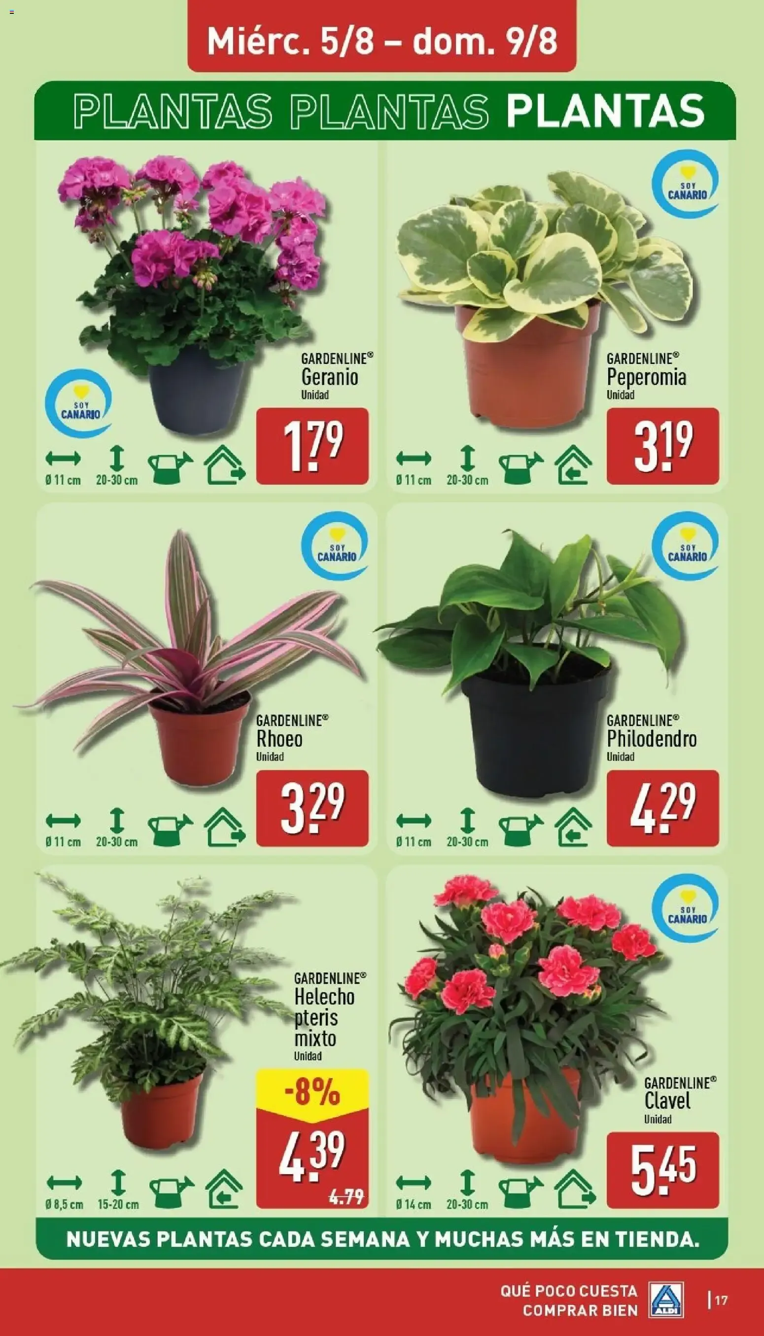 Catálogo de Aldi: Frescura a precios para tirarse a la piscina 3 de agosto al 9 de agosto 2026 - Página 17