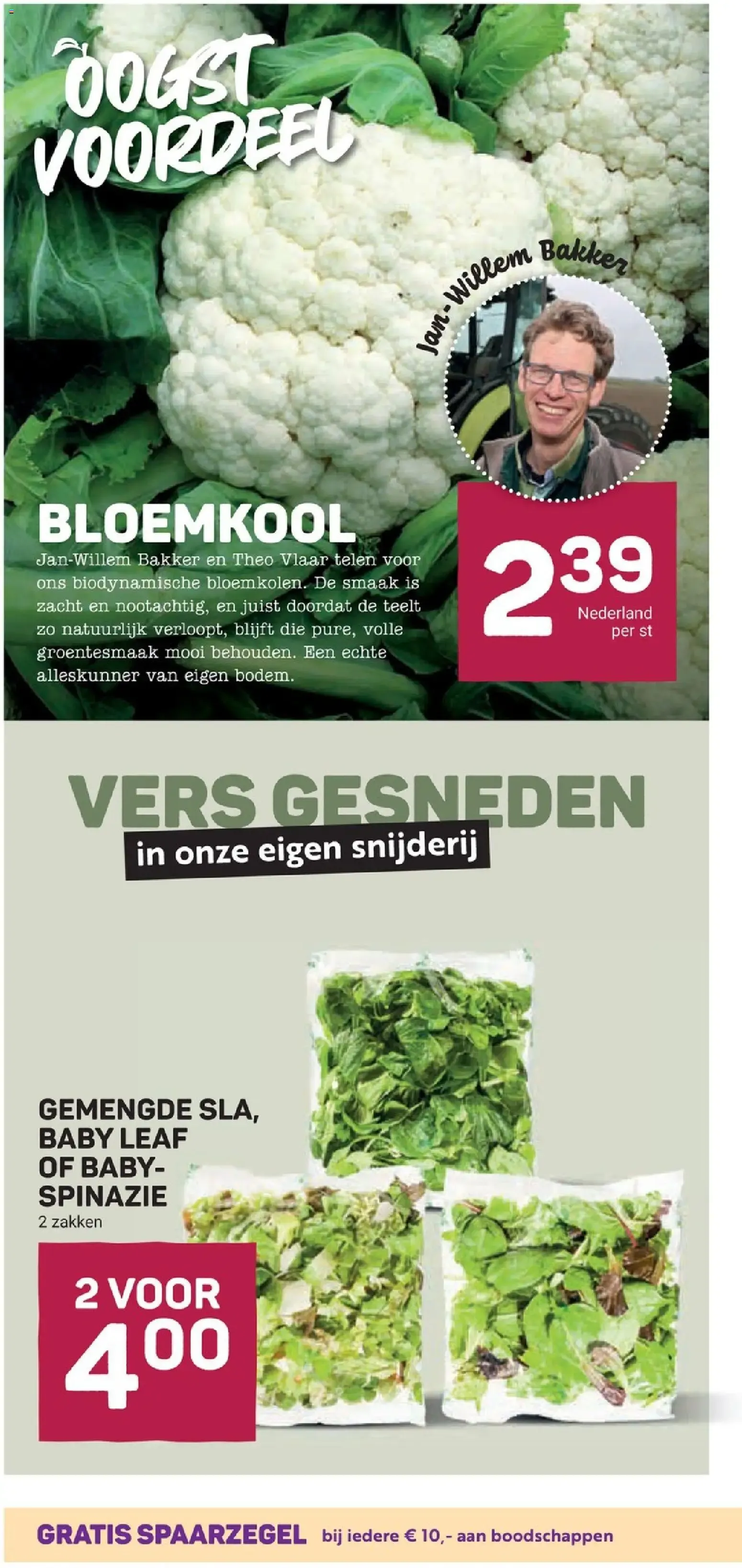 Ekoplaza: Sauzen met smaak én karakter van 29 juli tot 4 augustus 2026 - Folder pagina 10