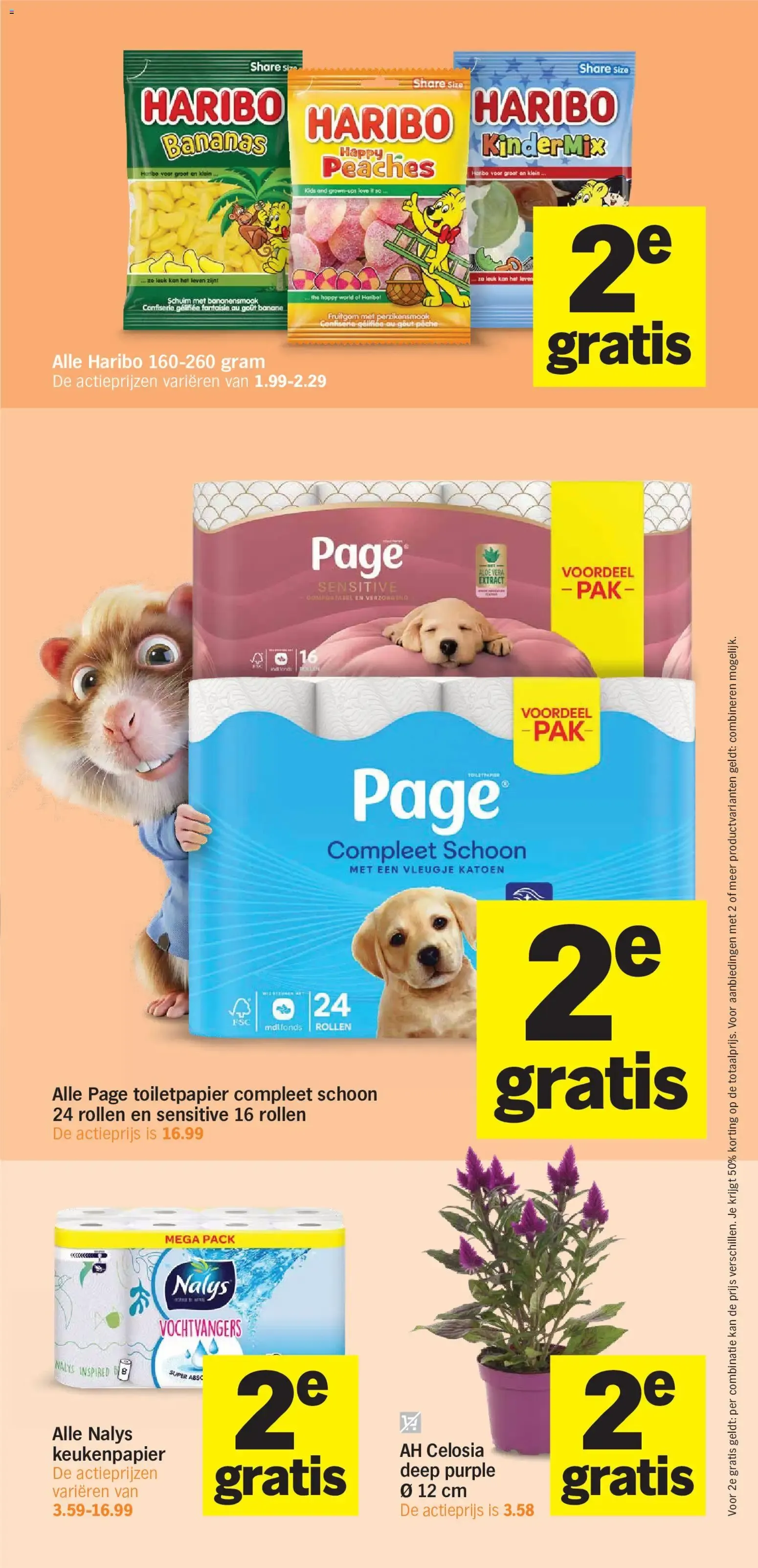 BONUS Hamsterééééén van 17 augustus tot 23 augustus 2026 - Folder pagina 10