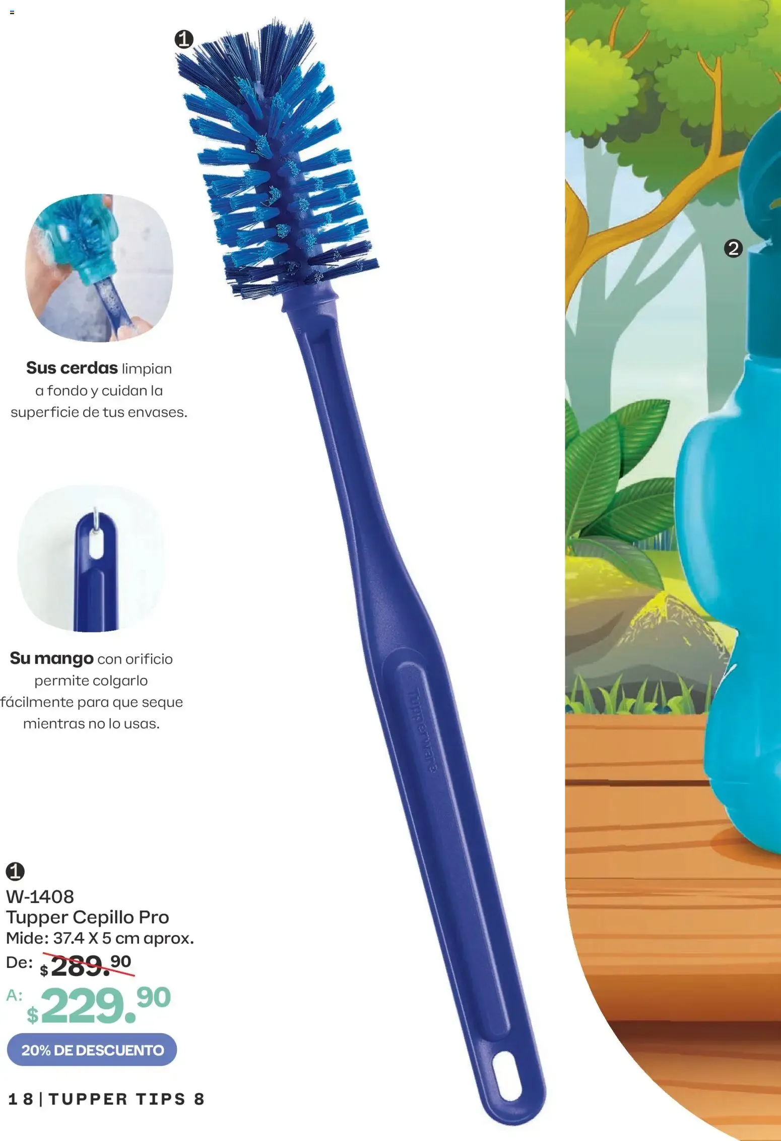 Catálogo de Tupperware Tips 08: Lo Mejor para el Regreso a Clases 13 de julio al 9 de agosto 2026 - Pagina 18