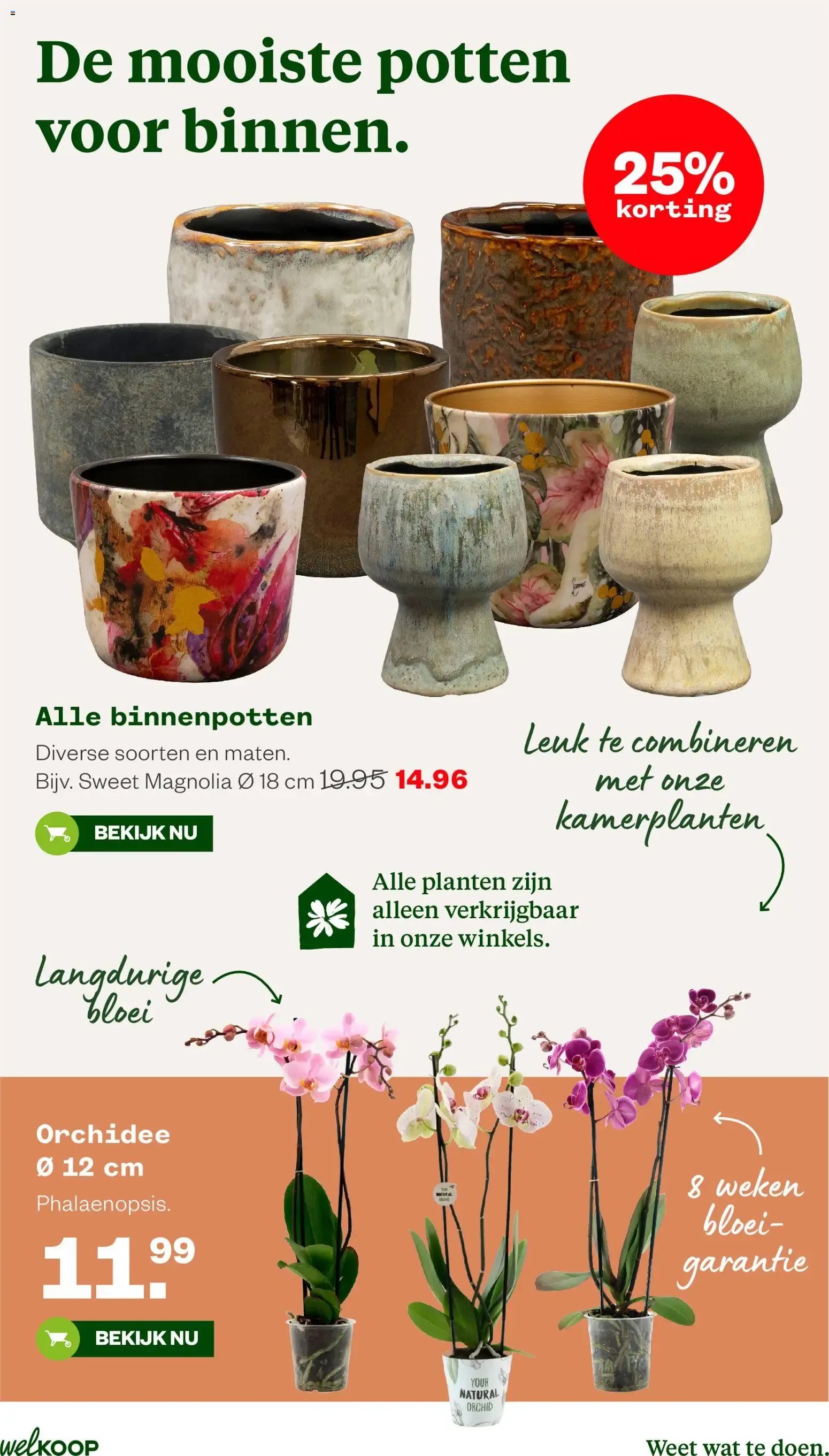 Welkoop Zomer deals van 22 juni tot 5 juli 2026 - Folder pagina 16