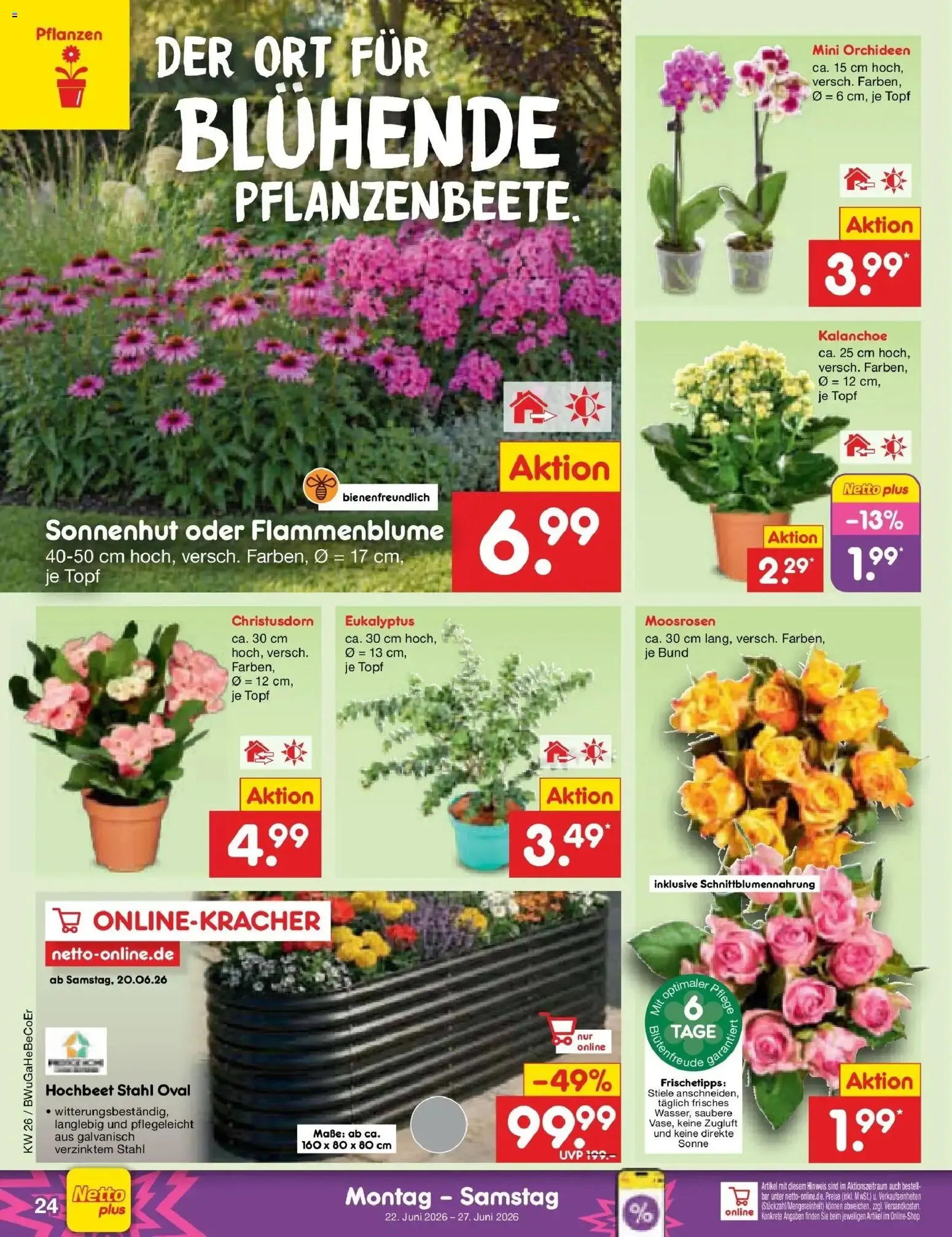 Netto Marken-Discount Prospekt Kremmen (ab 22.06.2026) » Angebote von 22. Juni bis 27. Juni 2026 - Prospekt seite 34