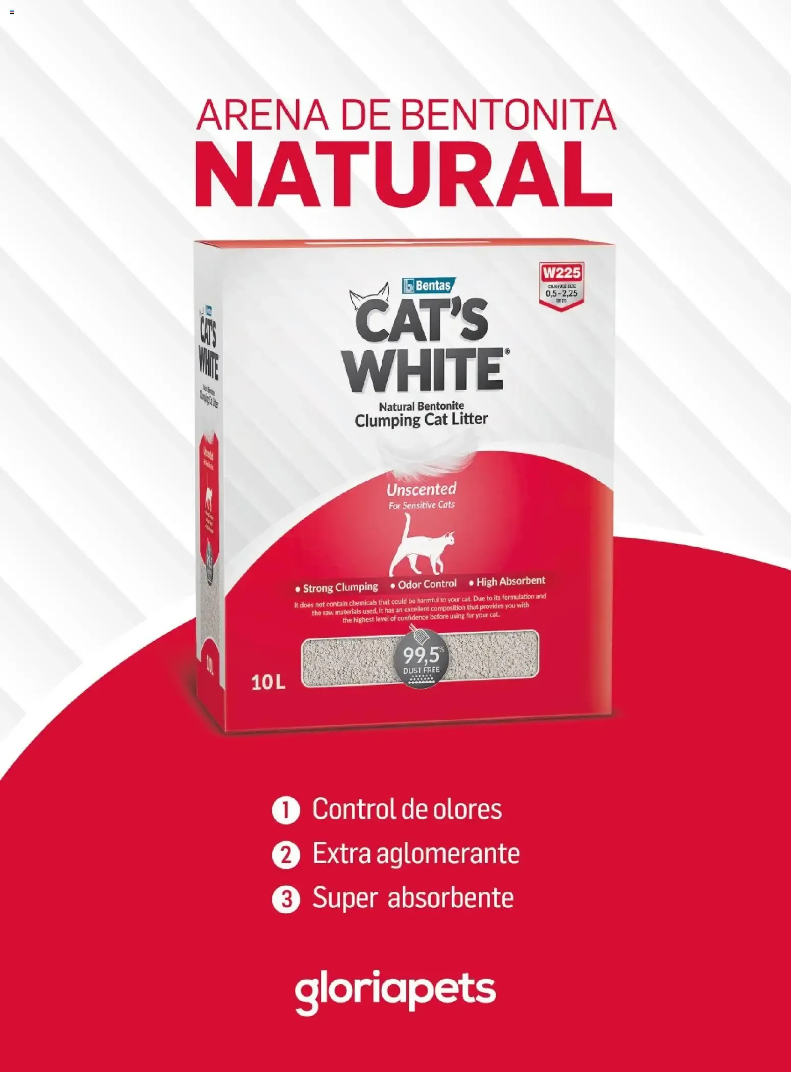 Catálogo de COSTCO Connection 15 de junio al 31 de octubre 2026 - Página 51