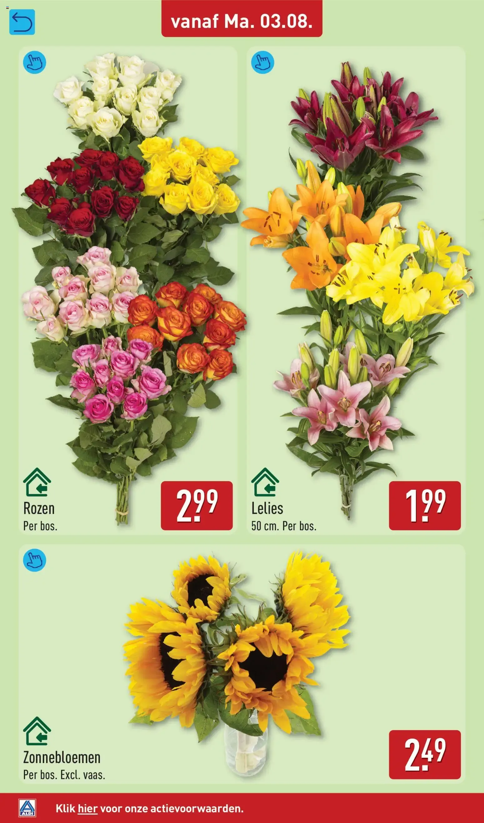 Aldi folder vanaf 03-08-2026 (volgende, deze week) van 3 augustus tot 9 augustus 2026 - Folder pagina 29