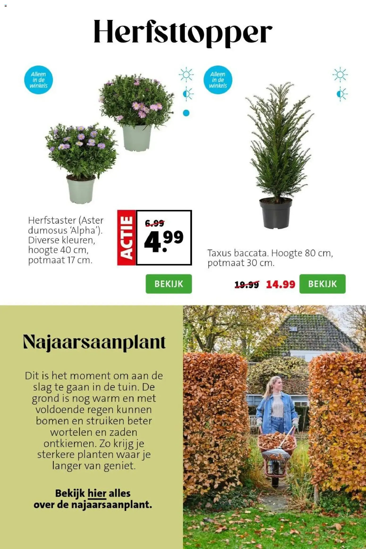 Bloemen met flair van 7 september tot 13 september 2026 - Folder pagina 3
