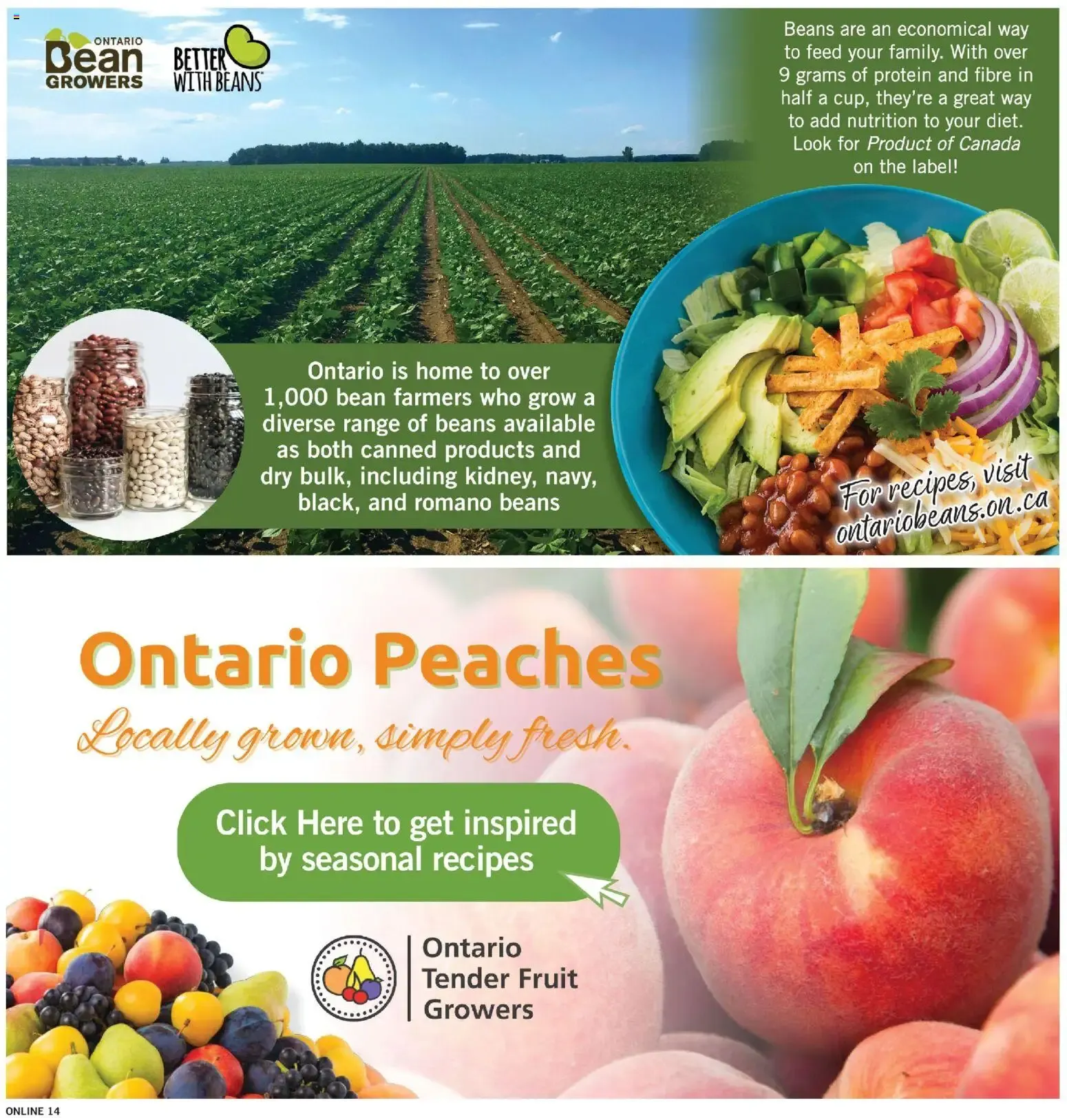 Fortinos weekly flyer / circulaire from Jul 30, 2026 > weekly specials & deals from July 30 to August 5 2026 - flyer page 15