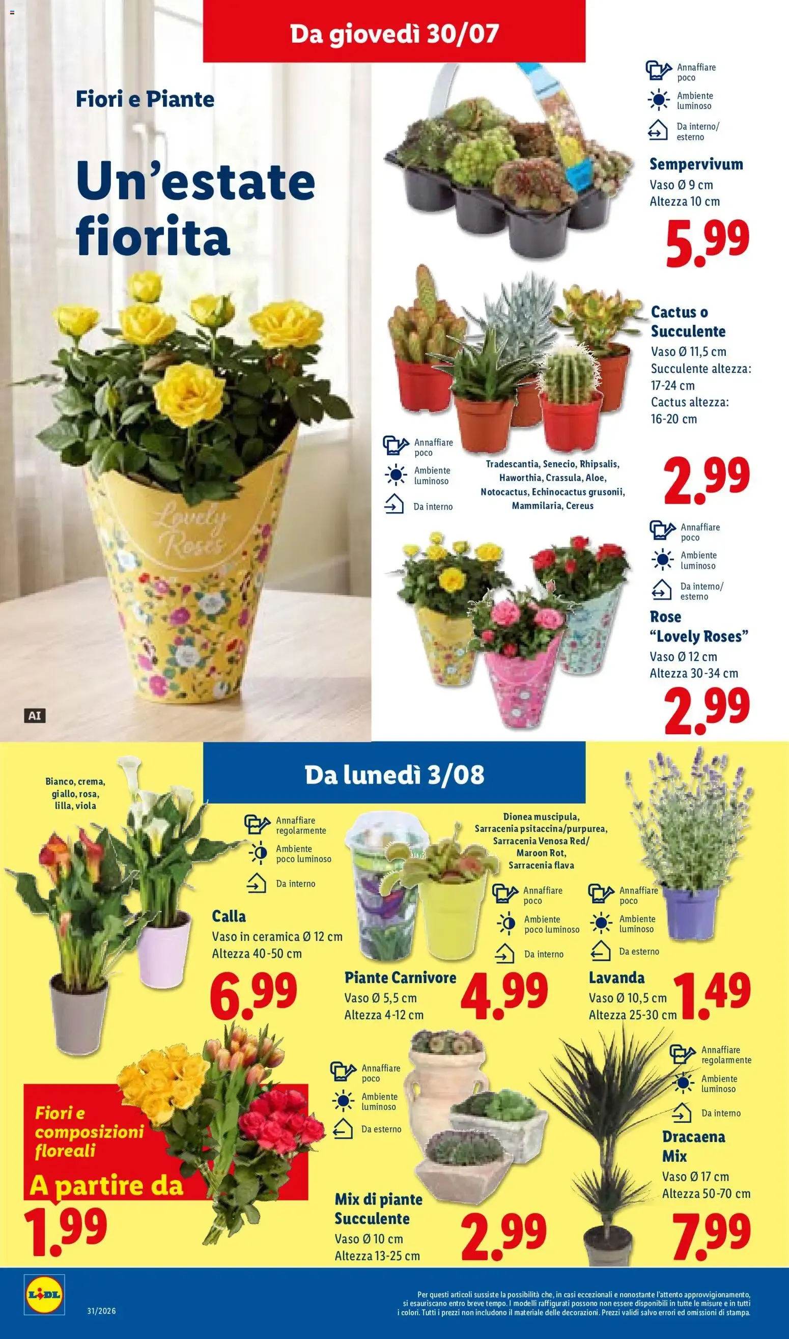 LIDL: L'estate del risparmio da 30 luglio a 5 agosto di 2026 - Pagina del volantino 30