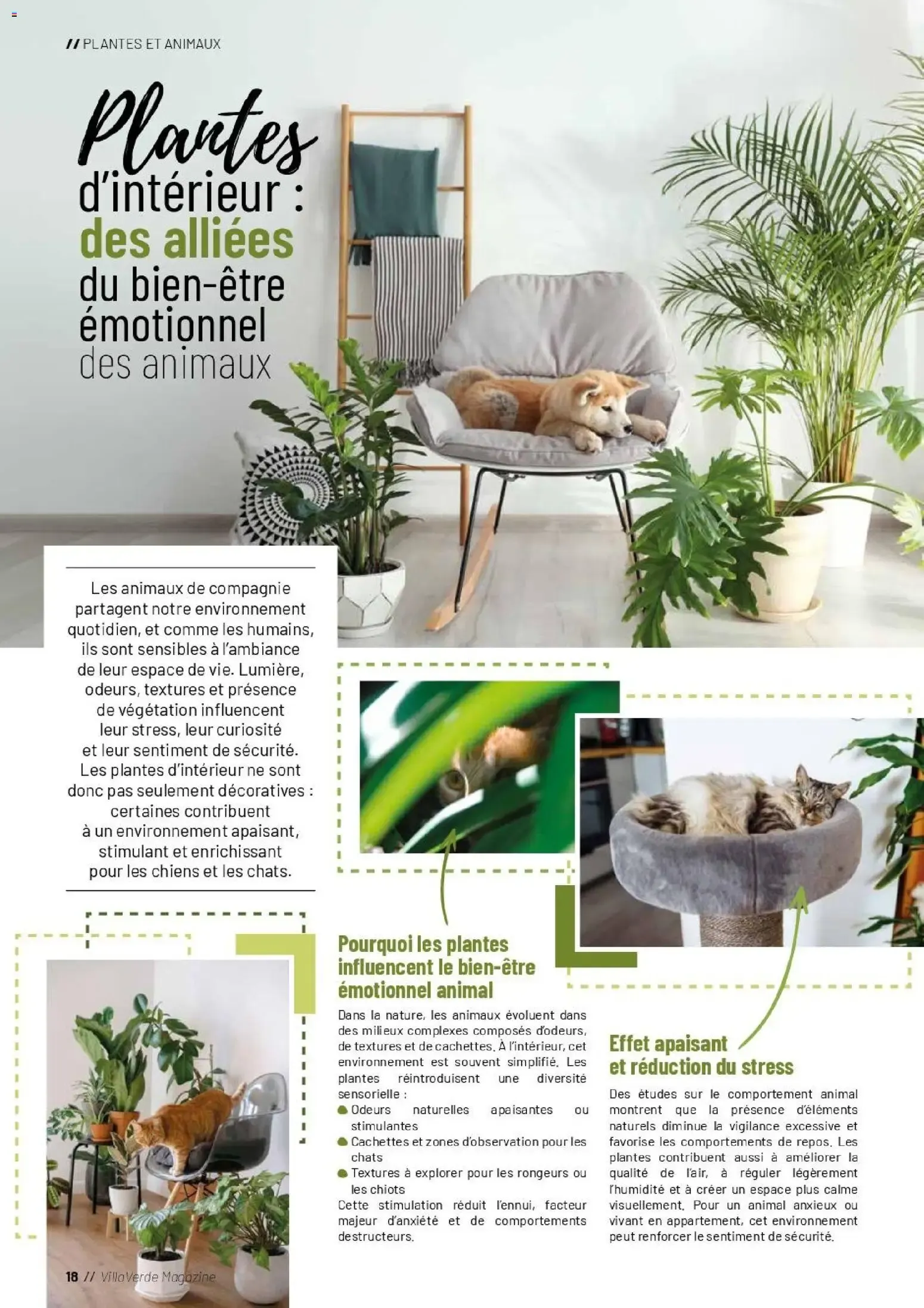 VillaVerde MAGAZINE ANIMALERIE 2026 du 28 mai au 31 août 2026 - Catalogue page 16