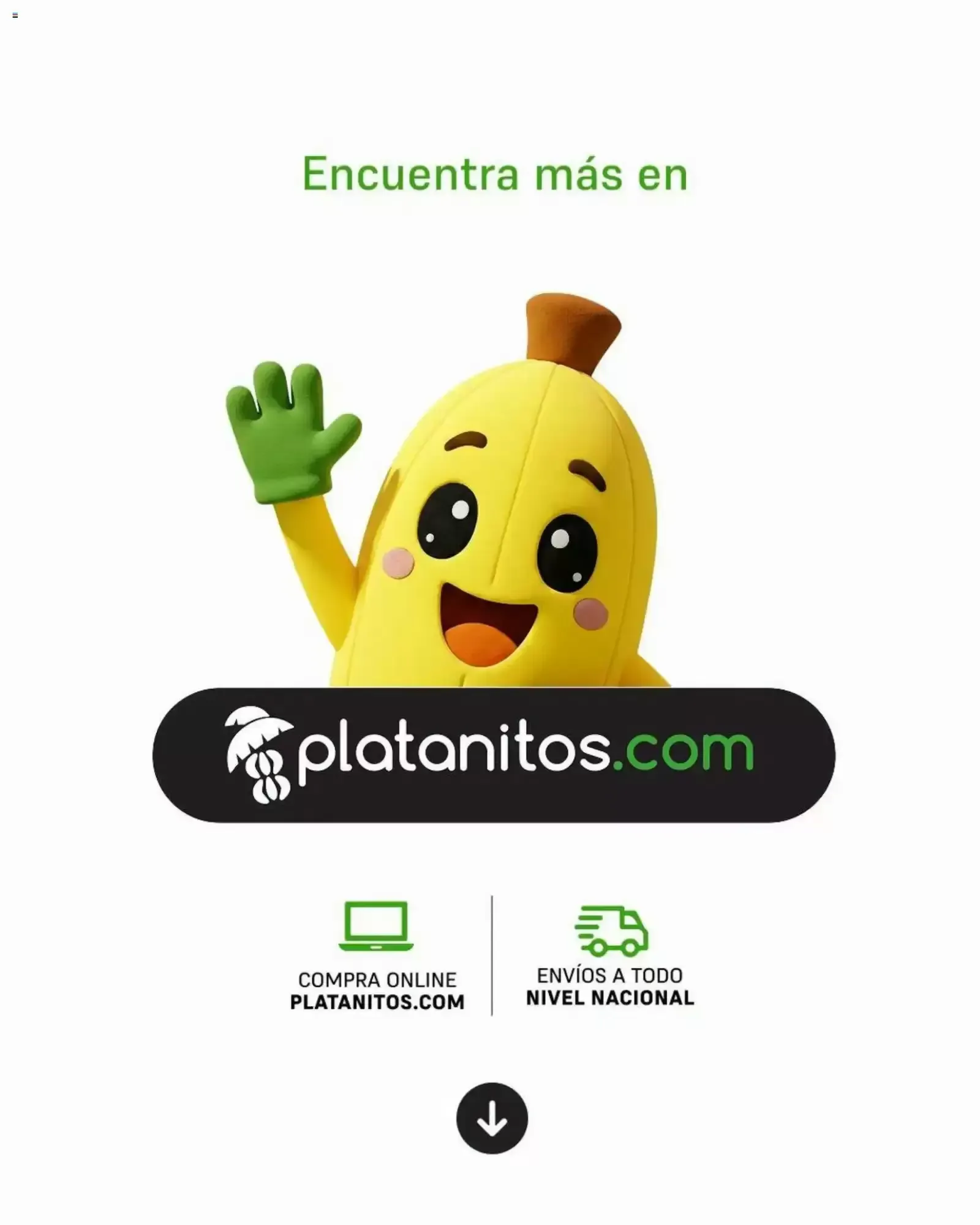 Catalogo de TECH novedades 12 de octubre al 18 de octubre 2026 - Pag 7