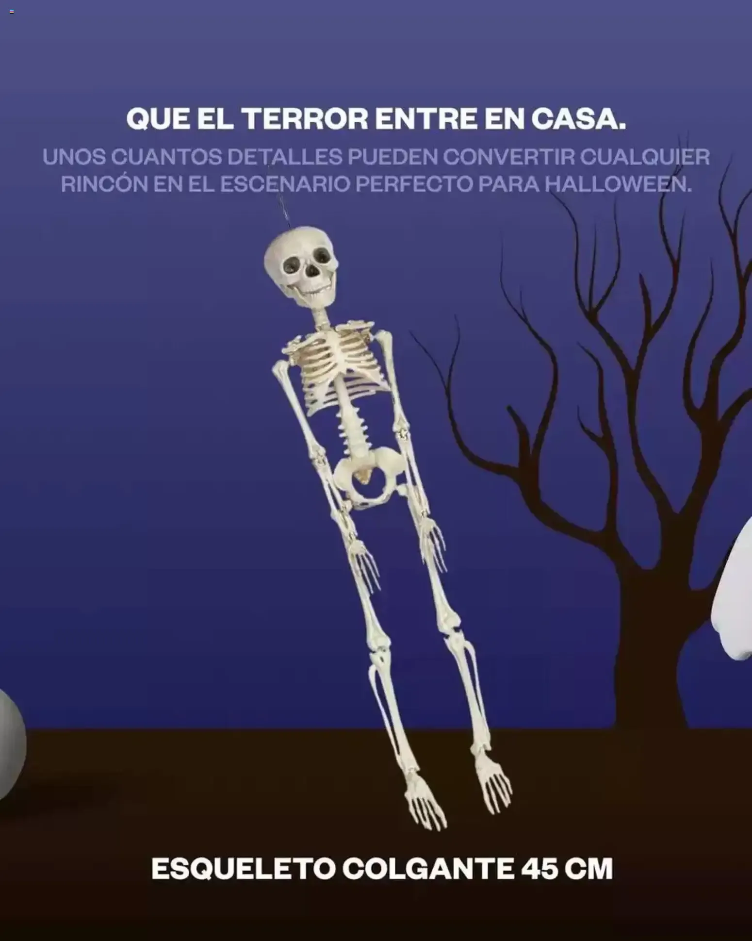 Catálogo de Juguettos Halloween 05/10/2026 - 31/10/2026 5 de octubre al 31 de octubre 2026 - Página 3
