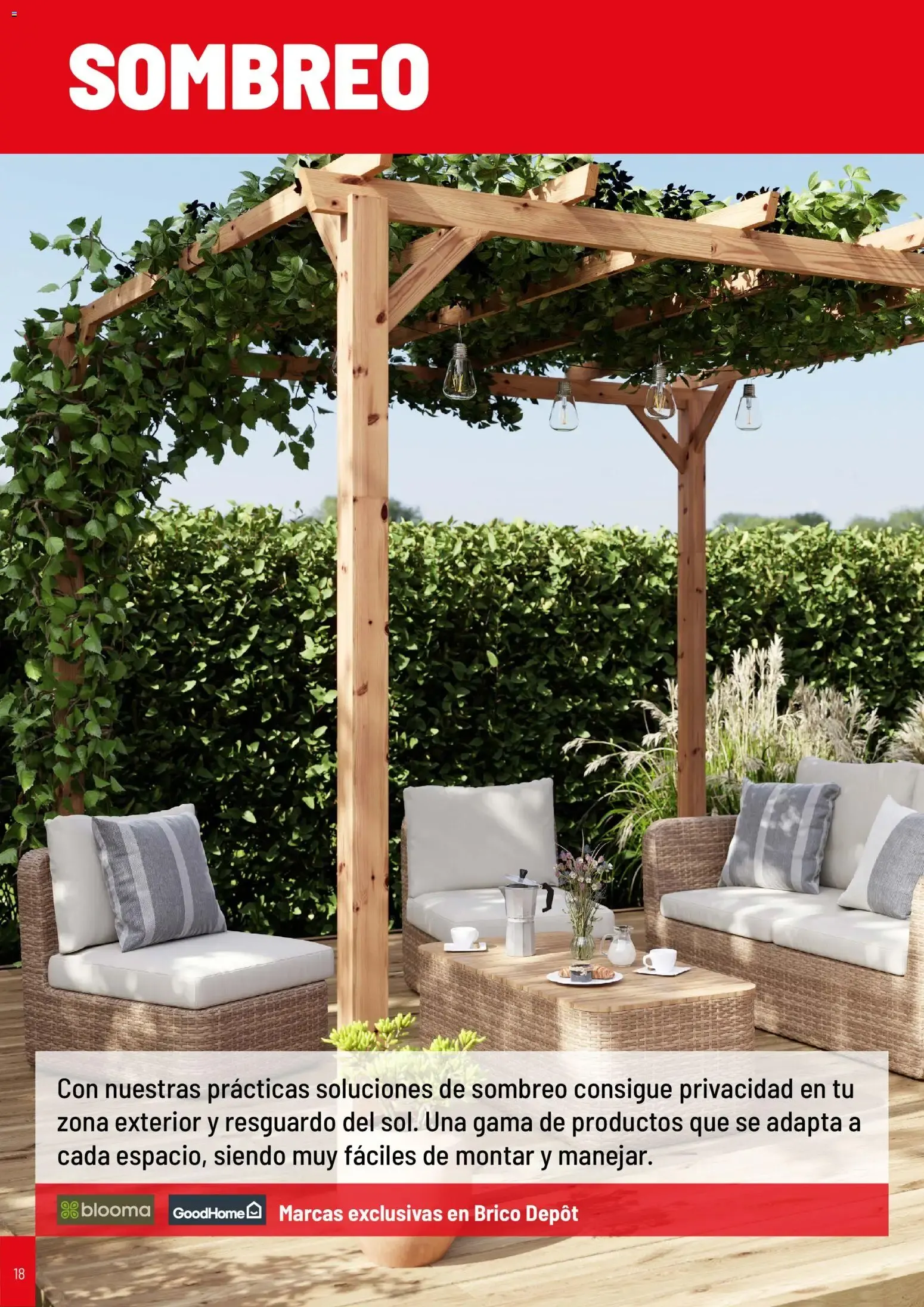 Catálogo de Brico Depôt folleto Jardín 2026 02/04/2026 - 31/03/2027 2 de abril al 31 de marzo 2027 - Página 17
