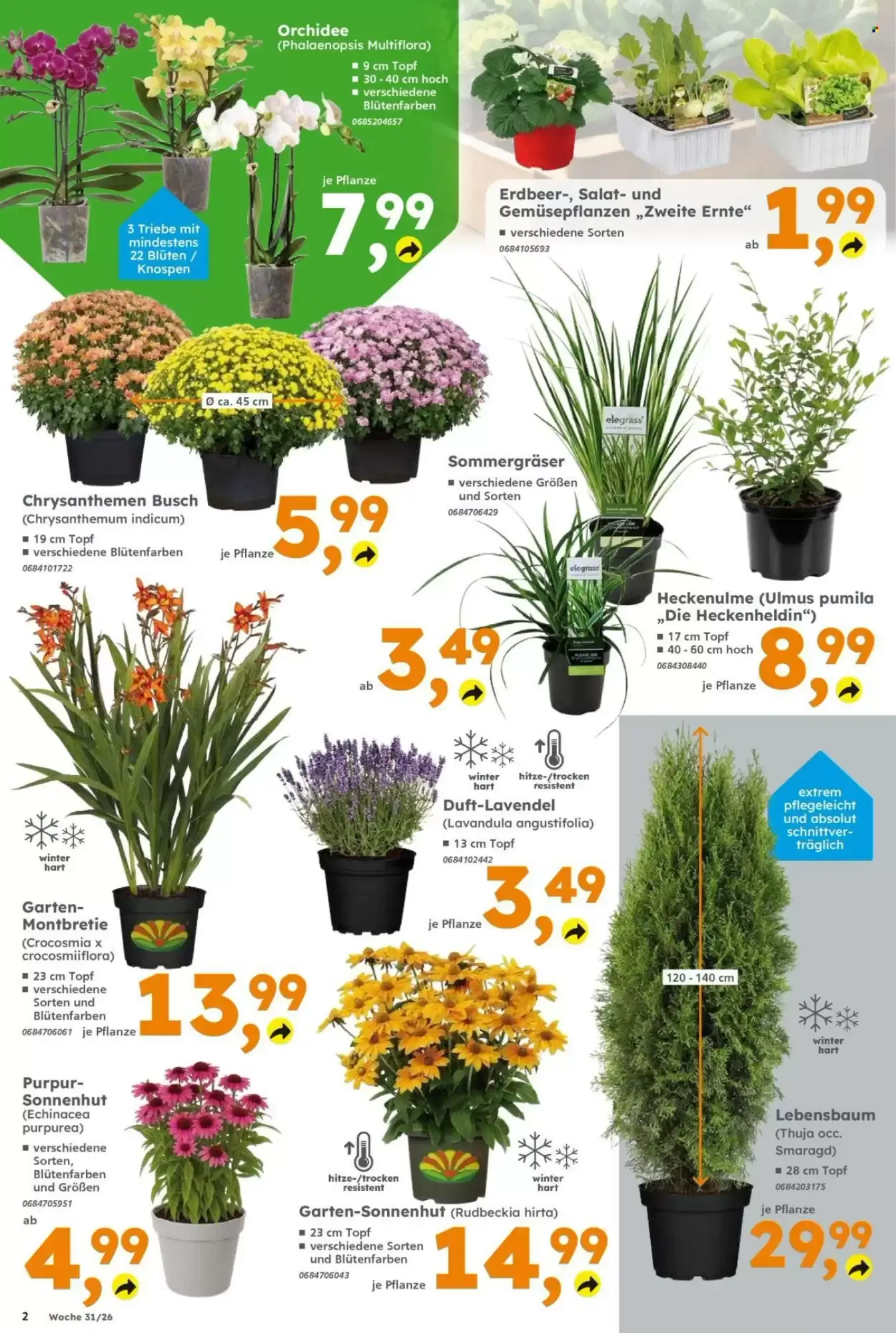 Globus Baumarkt Prospekt woche 31 von 27. Juli bis 1. August 2026 - Prospekt seite 2