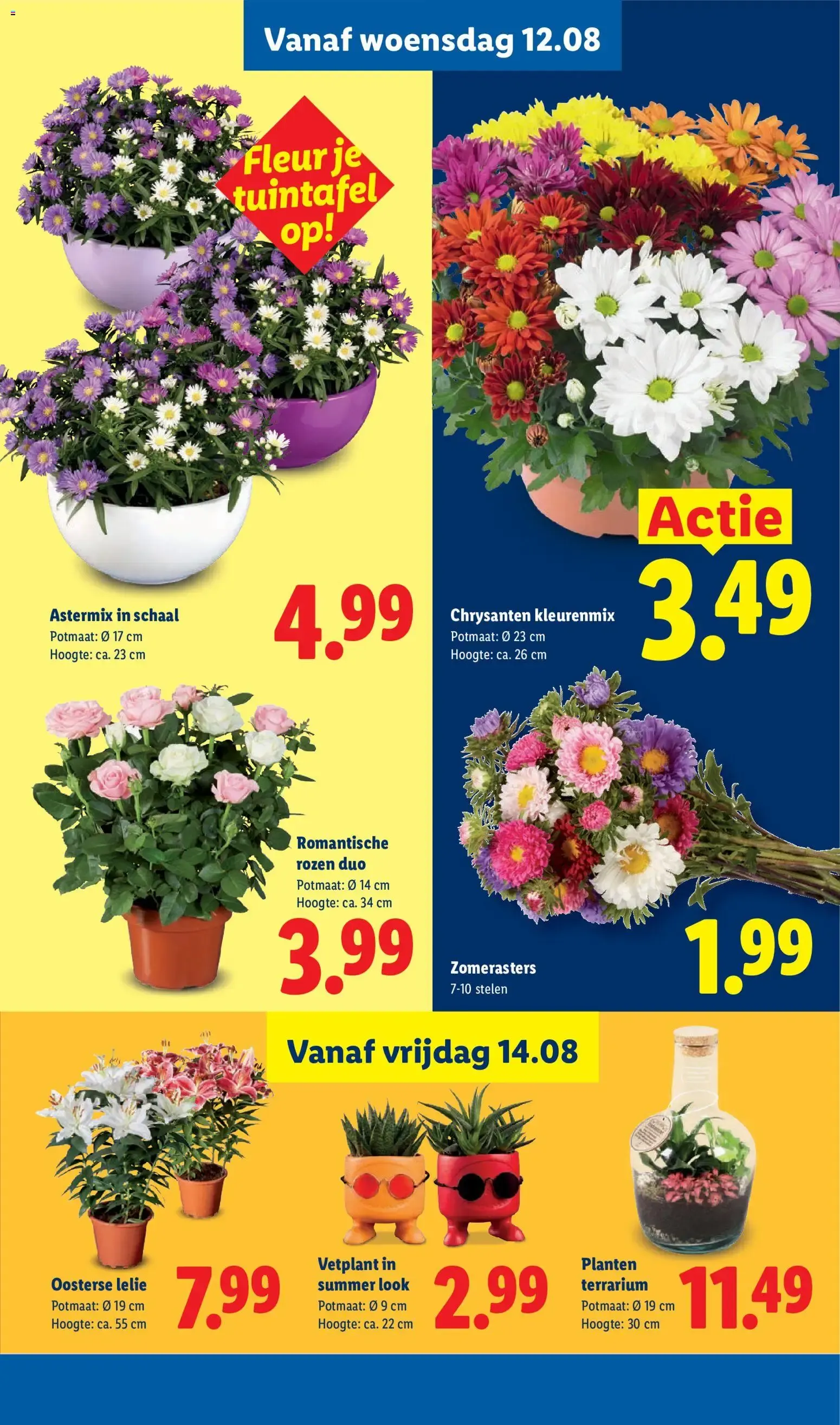 Lidl folder vanaf 10-08-2026 -- NIEUWE van 10 augustus tot 16 augustus 2026 - Folder pagina 16