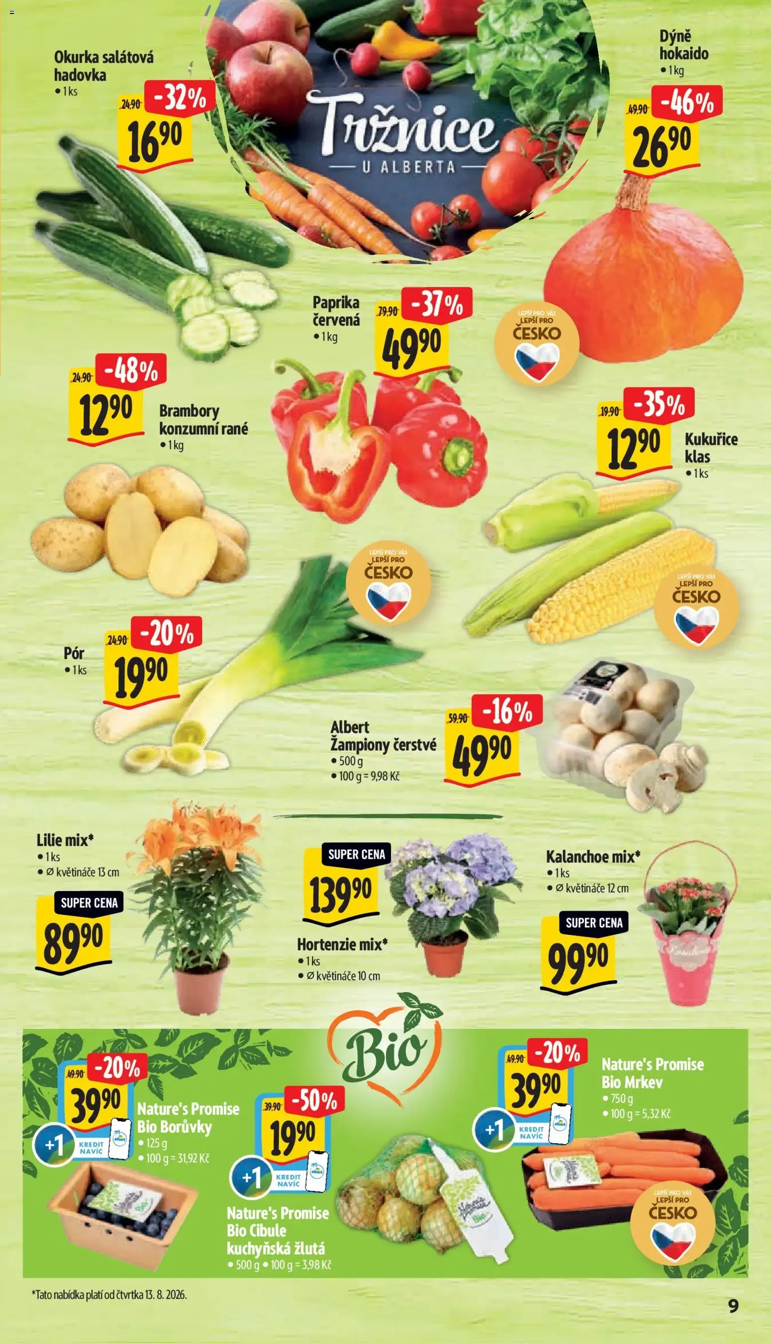 Albert leták - Hypermarket od 12.08.2026 - Akční leták - 12. srpna 18. srpna 2026 - Page 15