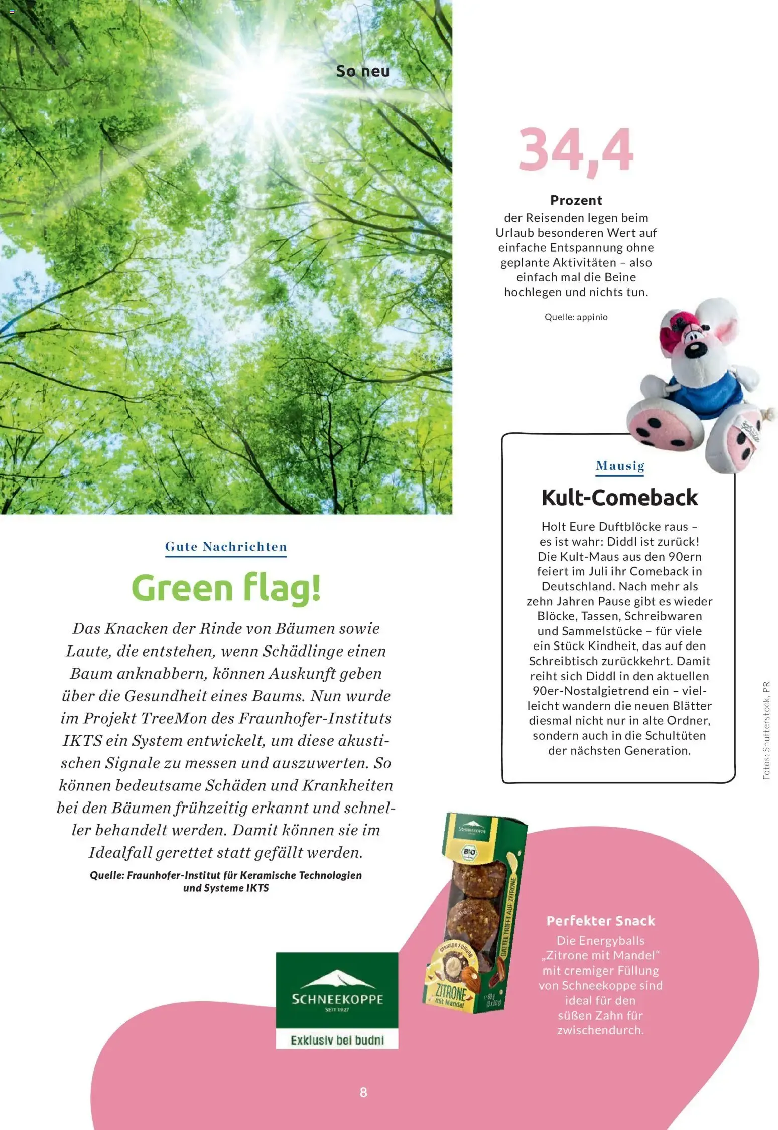 perle Das Magazin von budni von 9. Juli bis 31. August 2026 - Prospekt seite 5