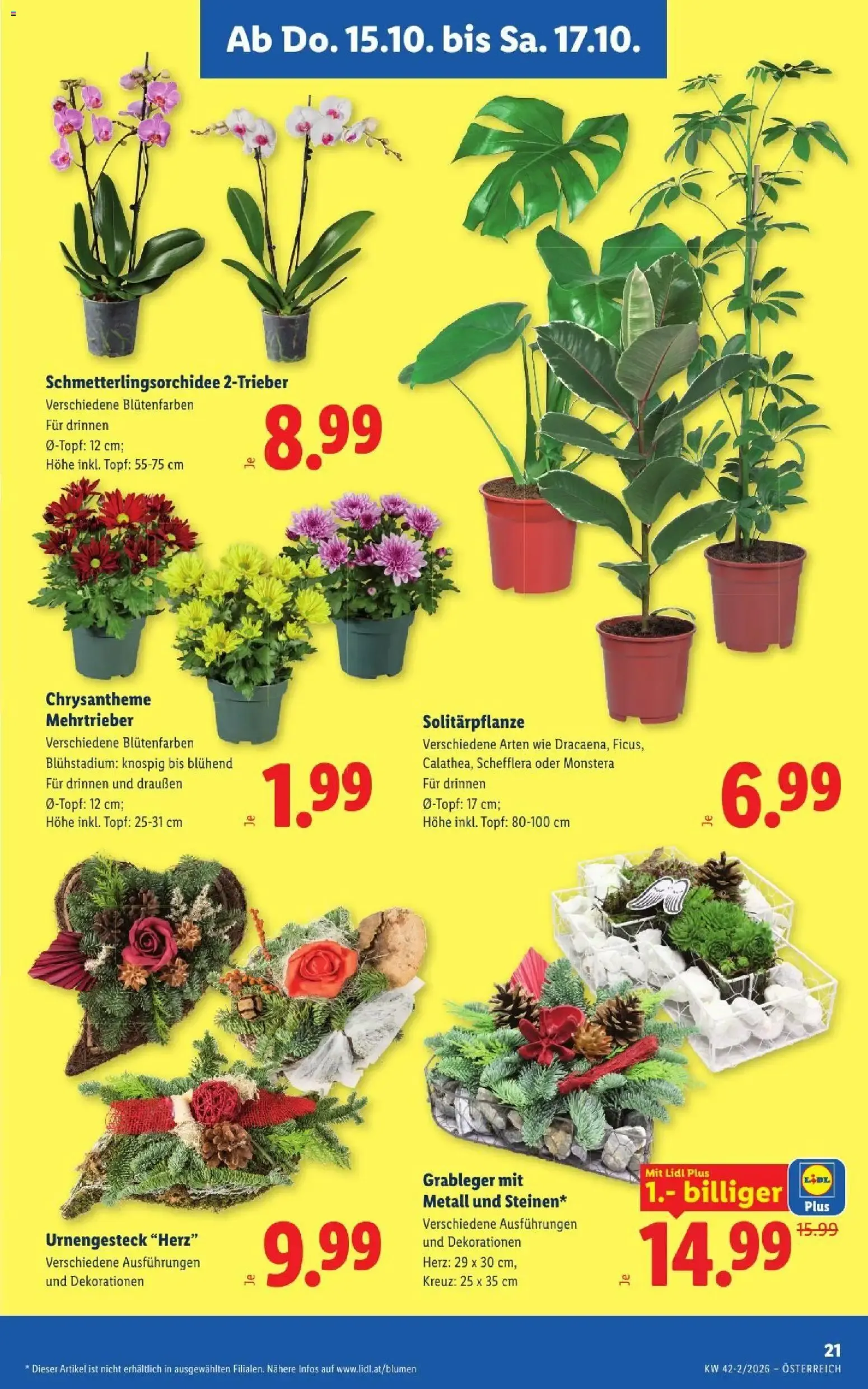 Lidl Flugblatt ab 15.10.2026 - Angebote ab donnerstag von 15. Oktober bis 17. Oktober 2026 - Flugblätt seite  25