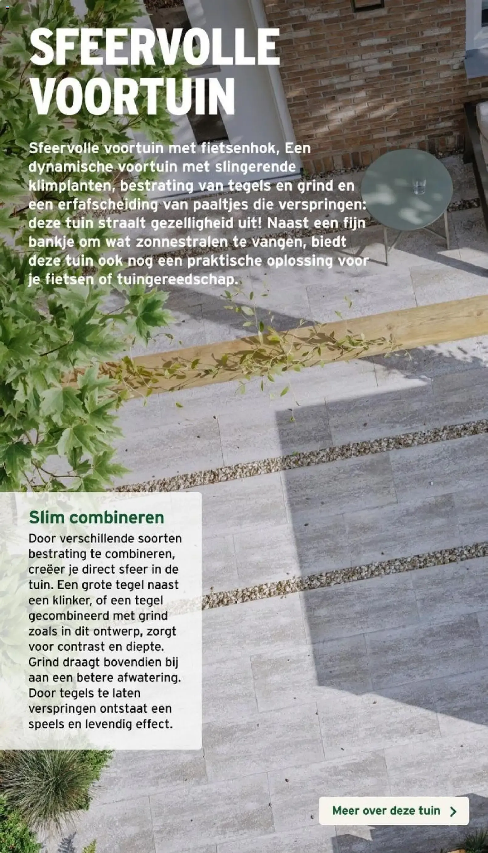 INSPIRATIE VOOR JOUW DROOMTUIN van 26 februari tot 31 december 2026 - Folder pagina 12