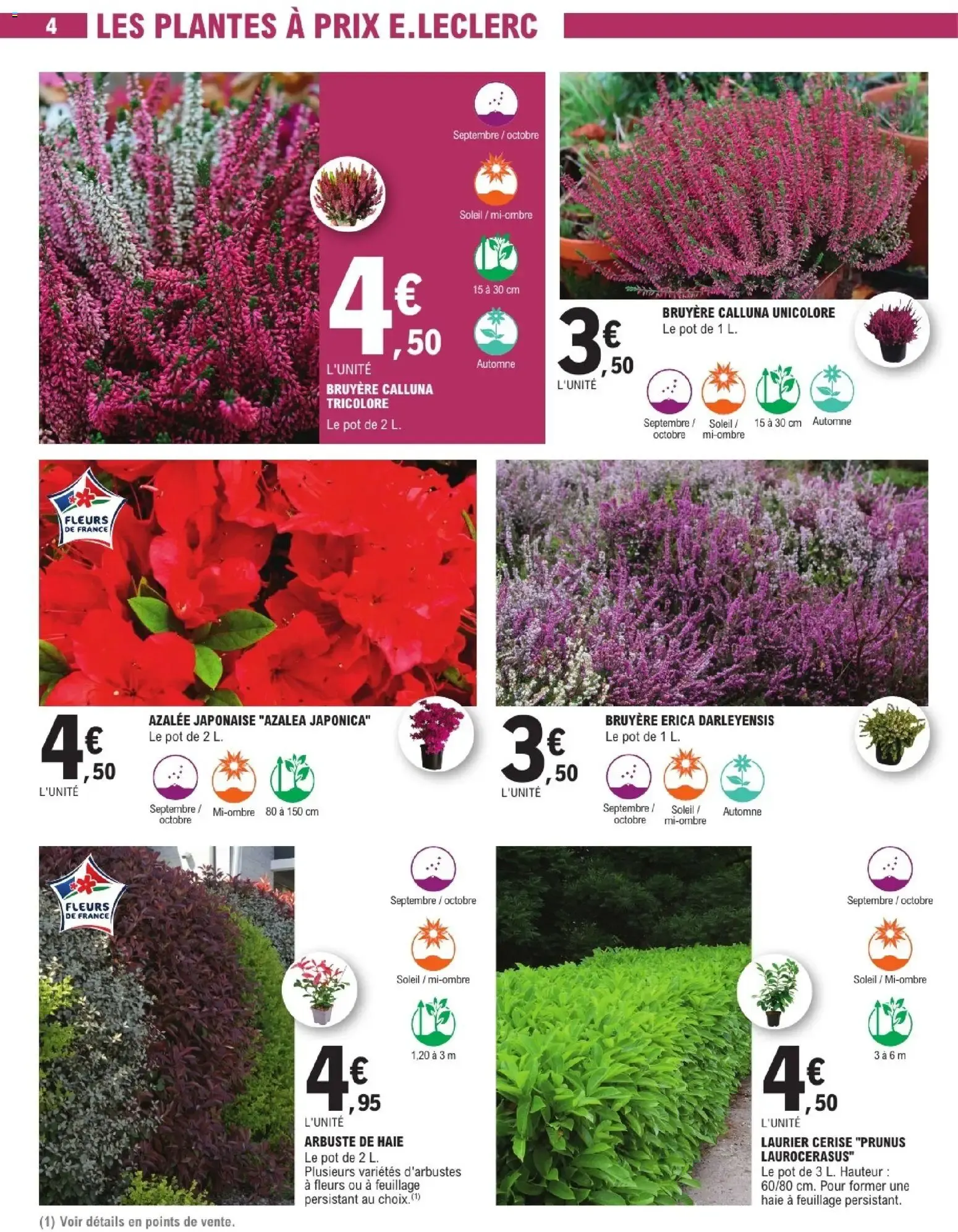 Brico E.Leclerc catalogue Jardin à partir du 22/09/2026 - promo en ligne du 22 septembre au 3 octobre 2026 - Catalogue page 4