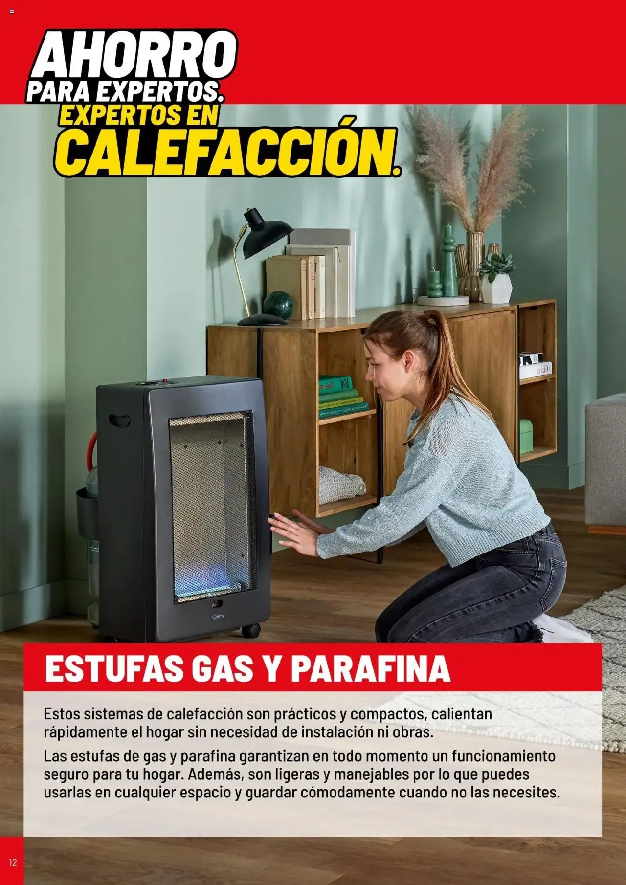 Catálogo de Brico Depôt - Catálogo Calefacción 21 de octubre al 31 de diciembre 2026 - Página 12