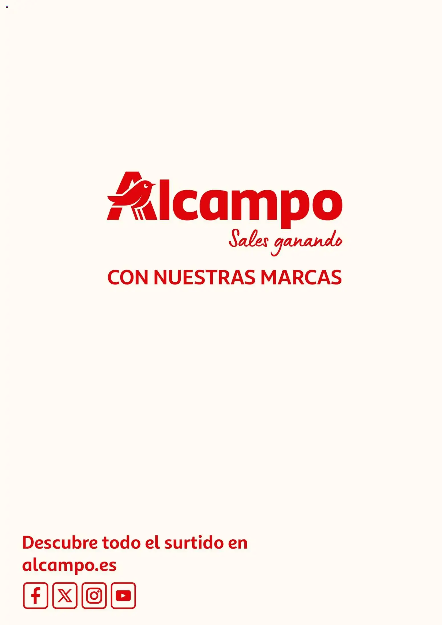 Catálogo de Alcampo Folleto Digital: Aquí se viene a Brillar con Cosmía 5 de mayo al 31 de agosto 2026 - Página 16
