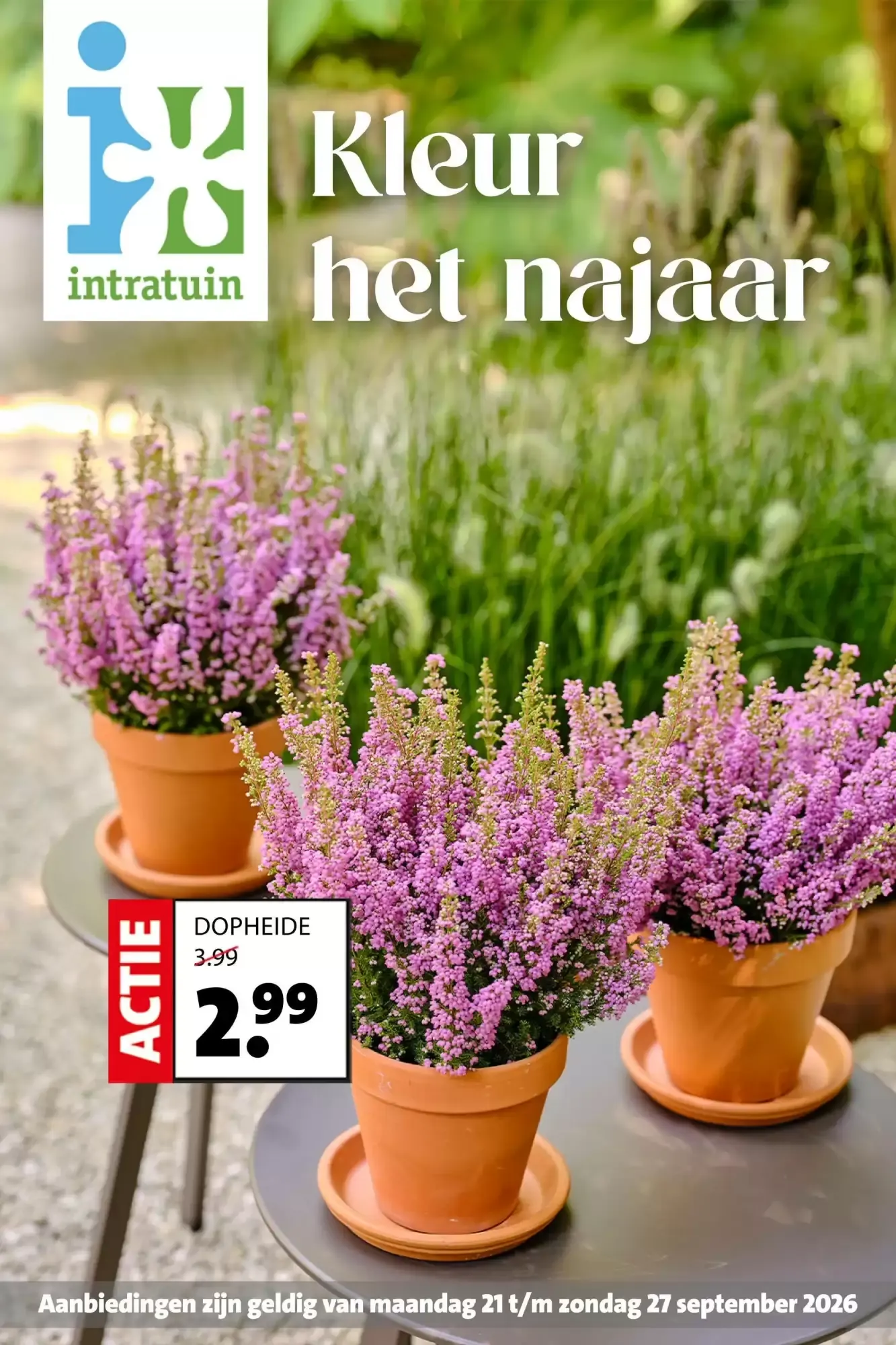 Intratuin: Kleur het najaar