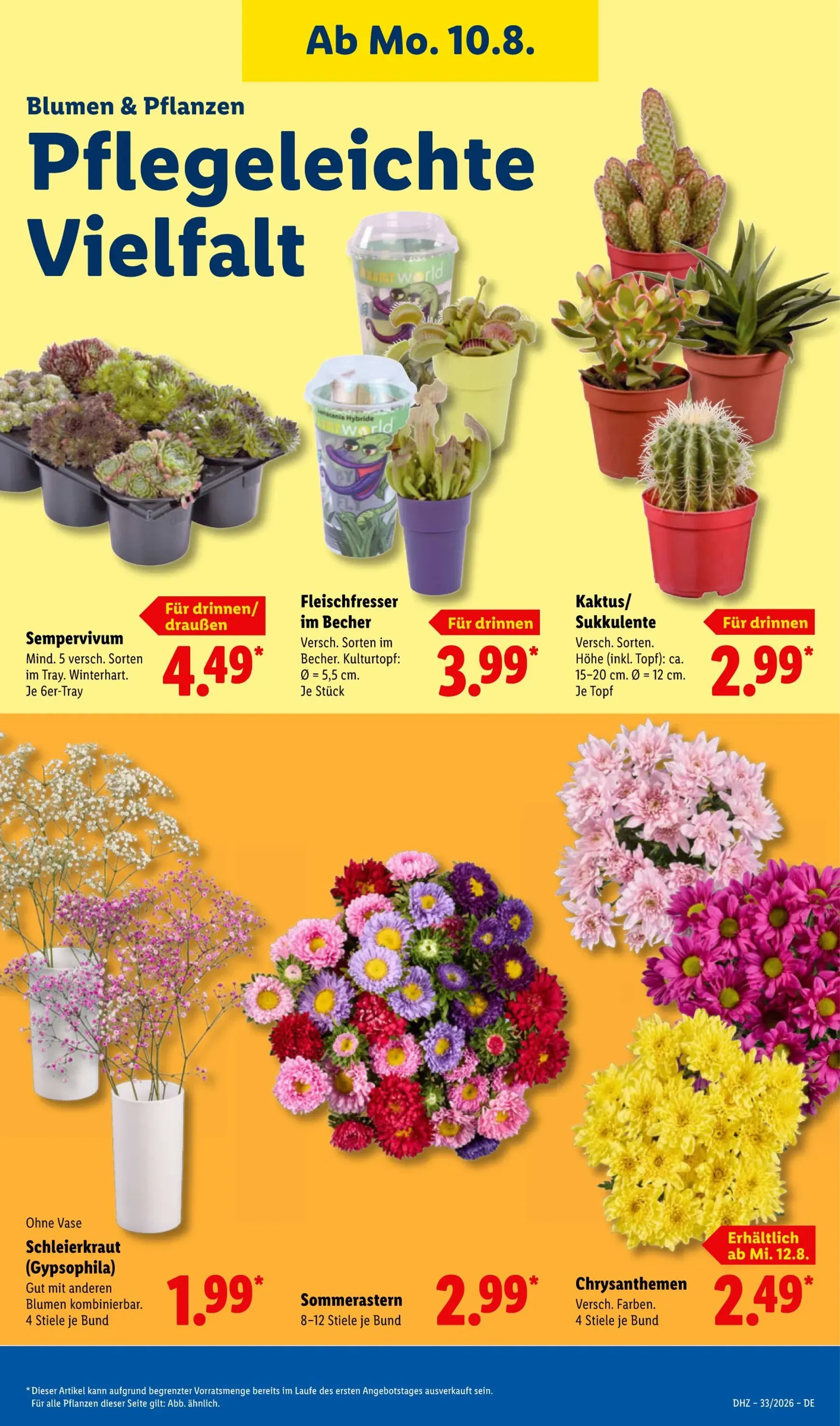 Lidl - Sparen beim Preisführer von 10. August bis 15. August 2026 - Prospekt seite 23