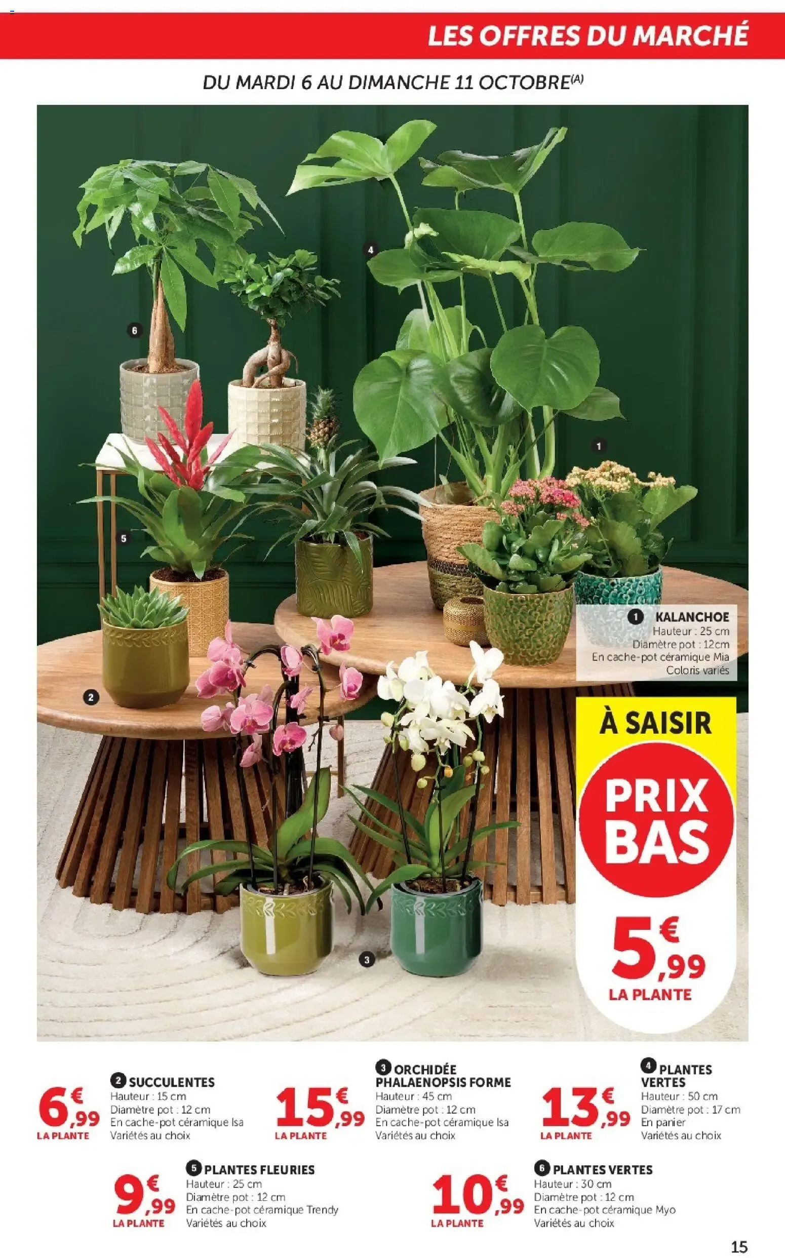 Super U - La Maison à prix bas à partir du 06/10/2026 - promo en ligne du 6 octobre au 18 octobre 2026 - Catalogue page 15