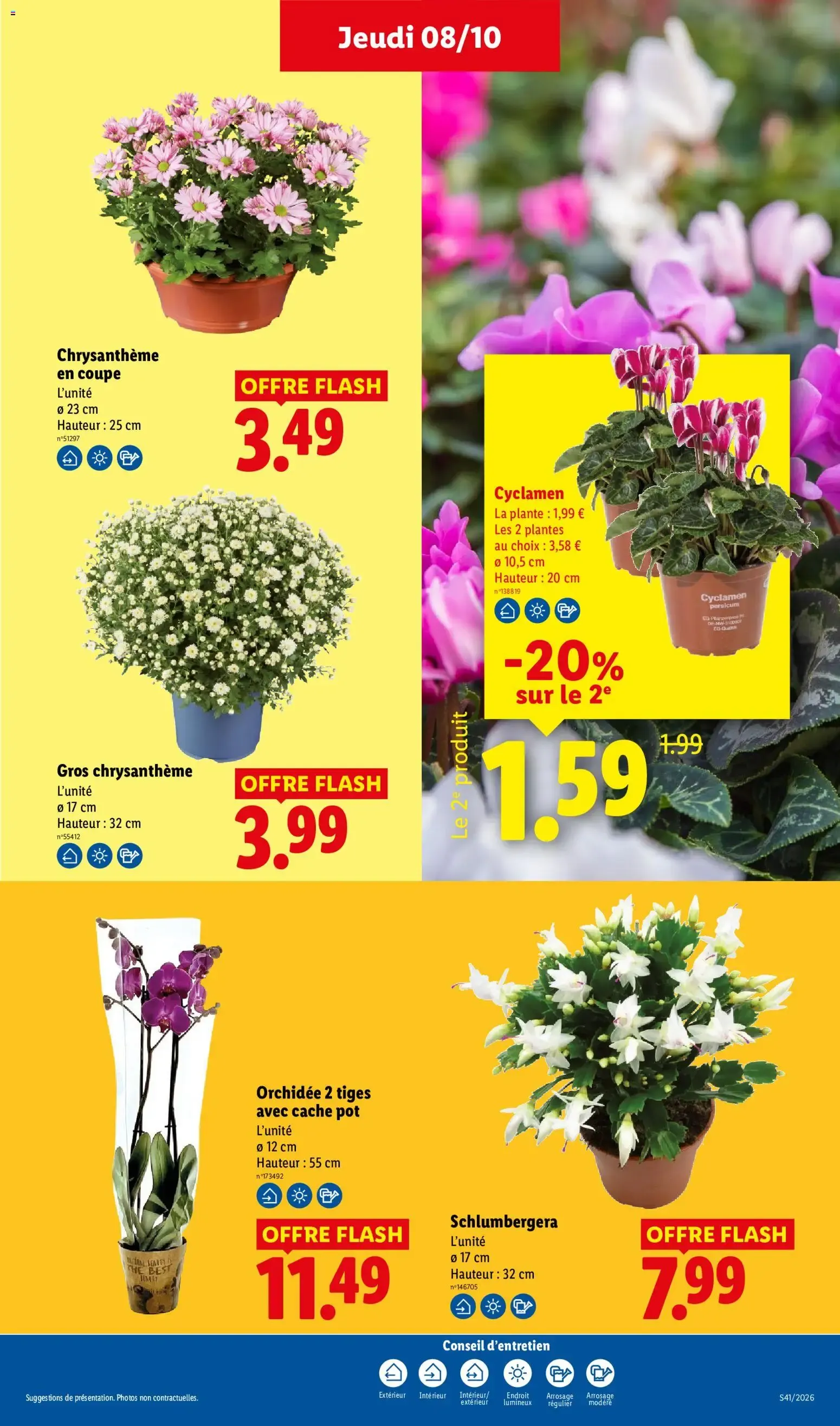 Catalogue LIDL du 08/10/2026 | Promo prospectus en ligne du 8 octobre au 14 octobre 2026 - Catalogue page 29