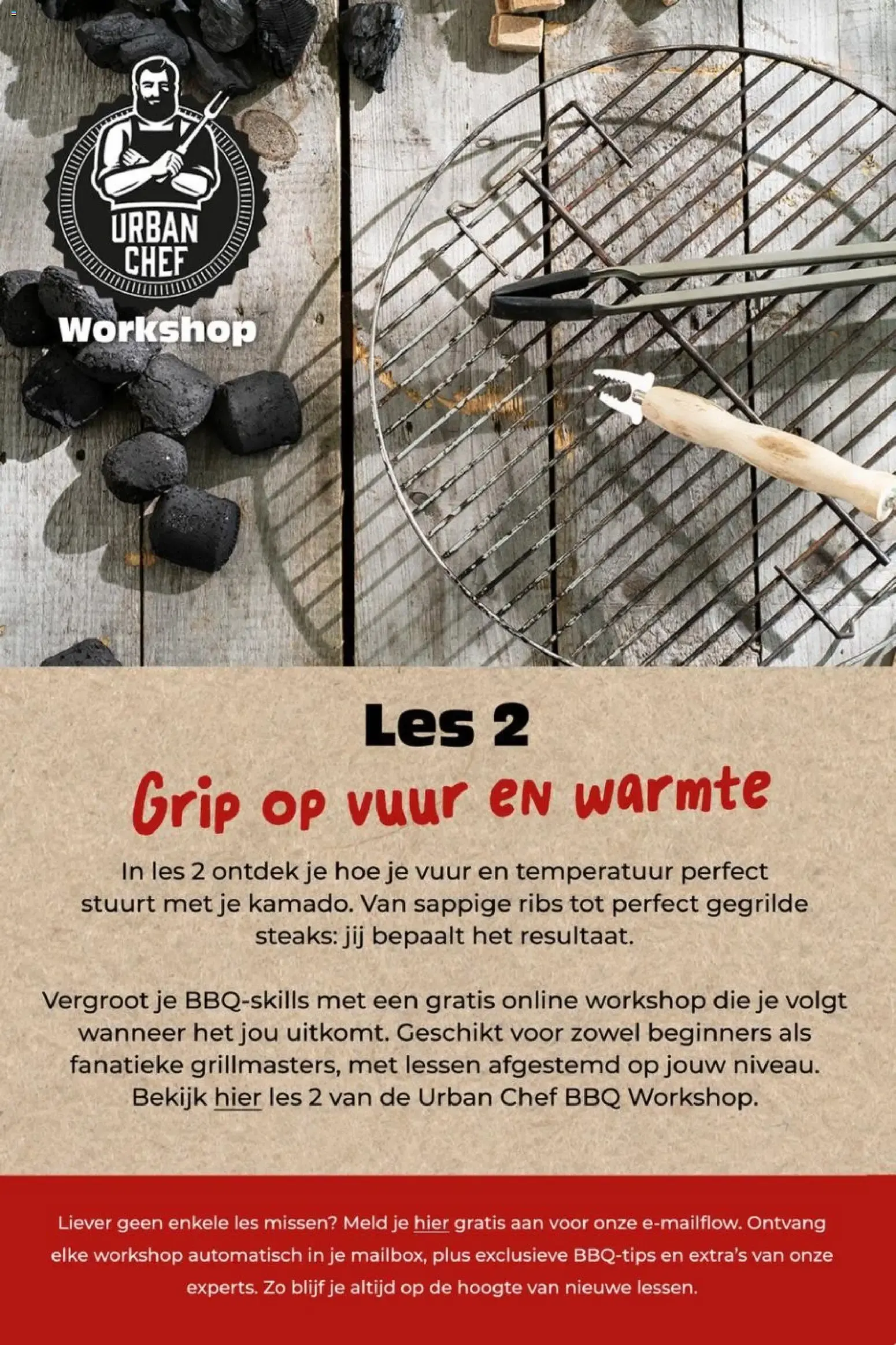Intratuin: Een groene glimlach cadeau van 29 juni tot 5 juli 2026 - Folder pagina 9