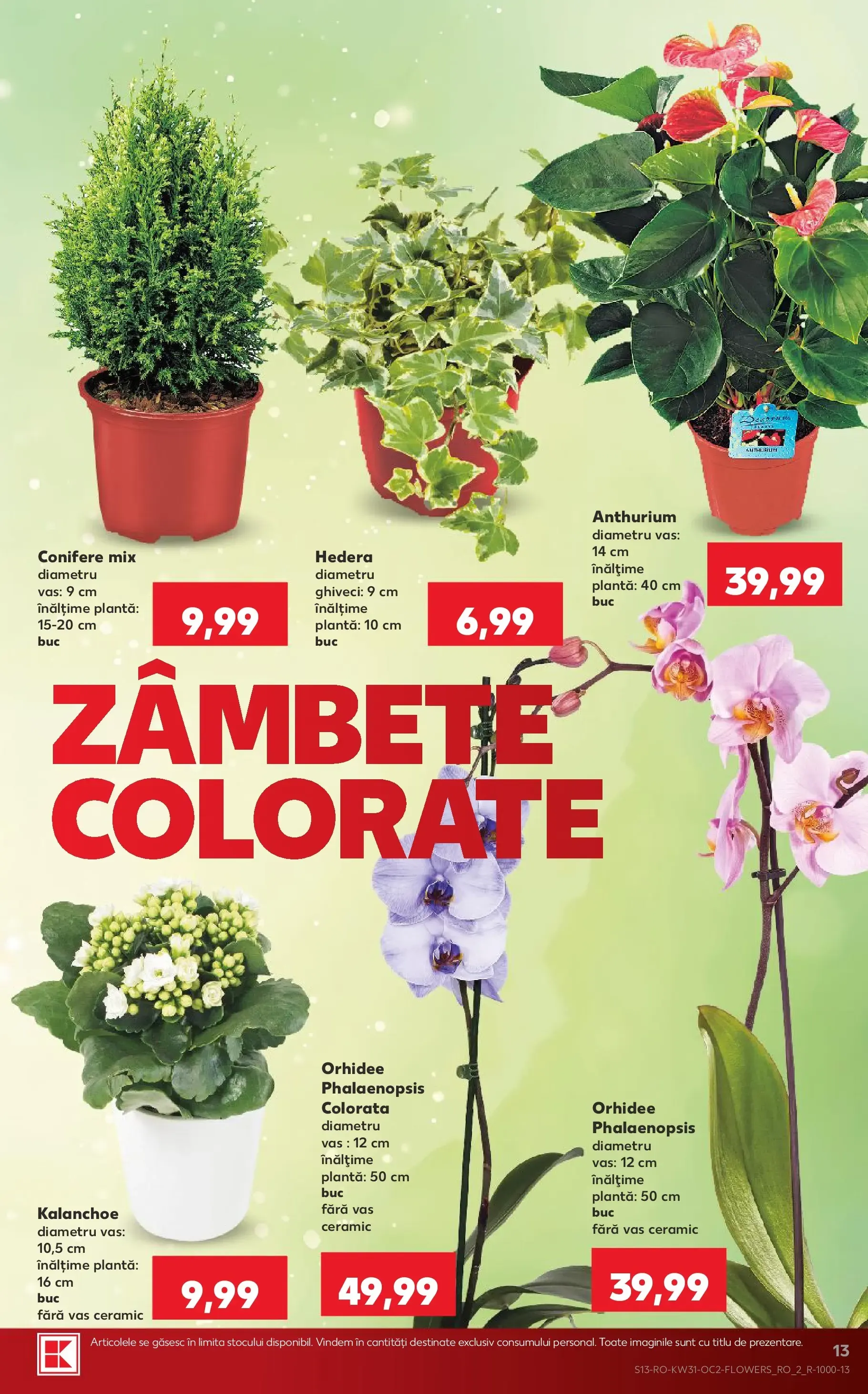 Catalog Kaufland și brandurile tale preferate te trimit la SAGA by KAUFLAND de la 29 iulie până la 4 august 2026 - Revista Pagina 13
