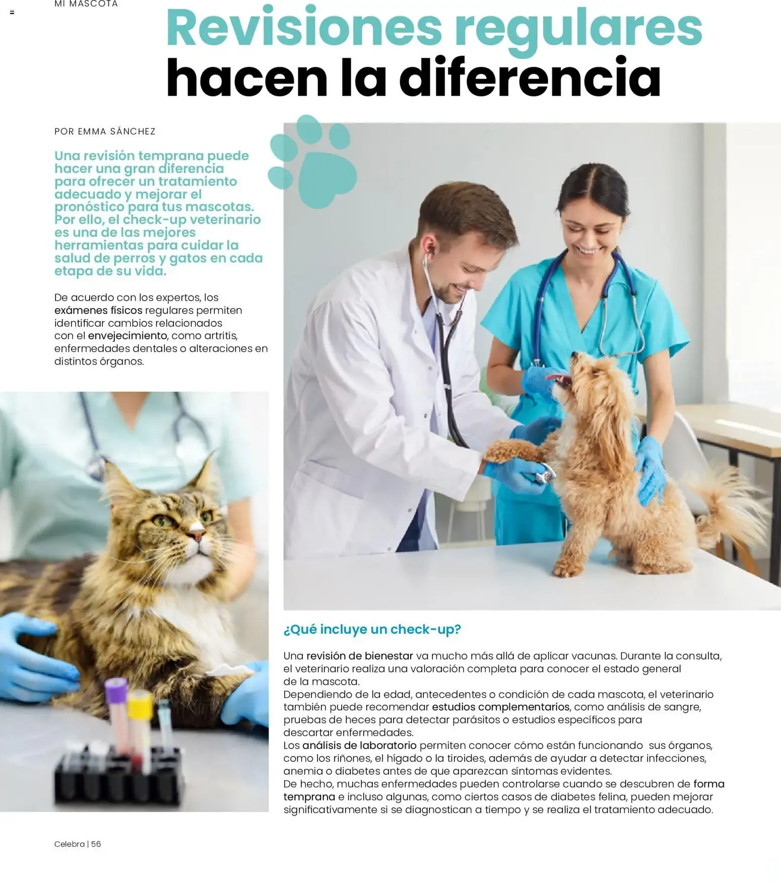 Catálogo de H-E-B folleto Celebra (01/09/2026 - 31/10/2026) - catálogo en línea 1 de septiembre al 31 de octubre 2026 - Pagina 56