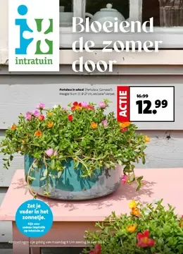 Intratuin folder aanbiedingen