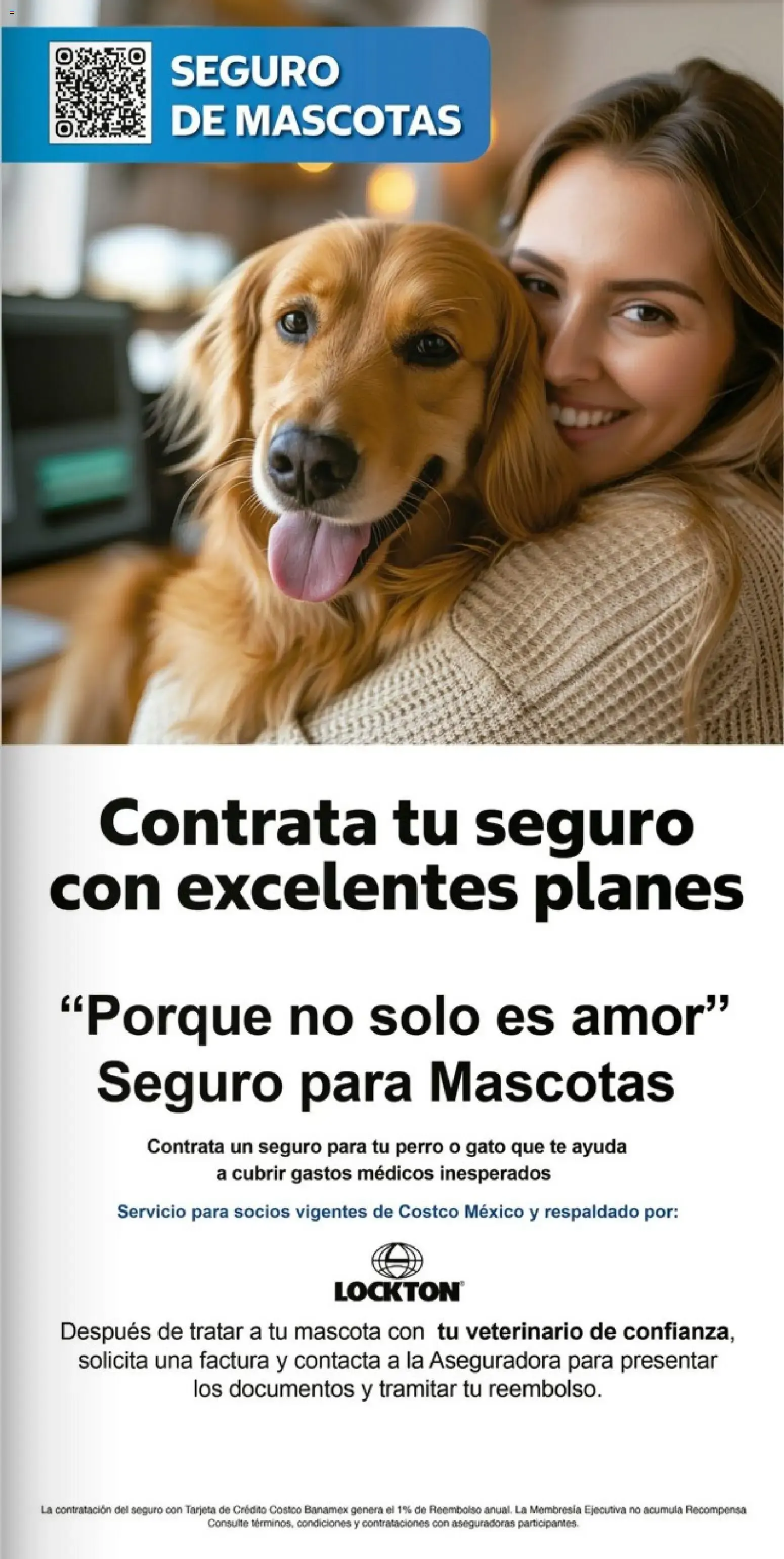 Catálogo de Catálogo COSTCO de 24/08/2026 - ofertas y promociones 24 de agosto al 20 de septiembre 2026 - Pagina 13