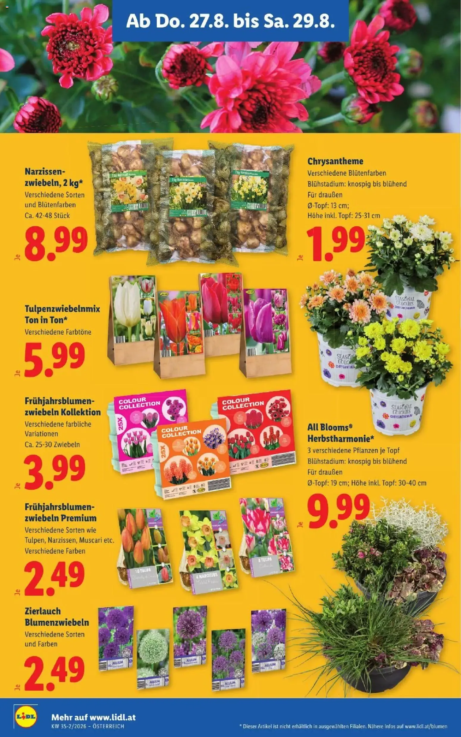 Lidl - Flugblatt ab 27.08.2026 - Angebote ab donnerstag von 27. August bis 29. August 2026 - Flugblätt seite  26