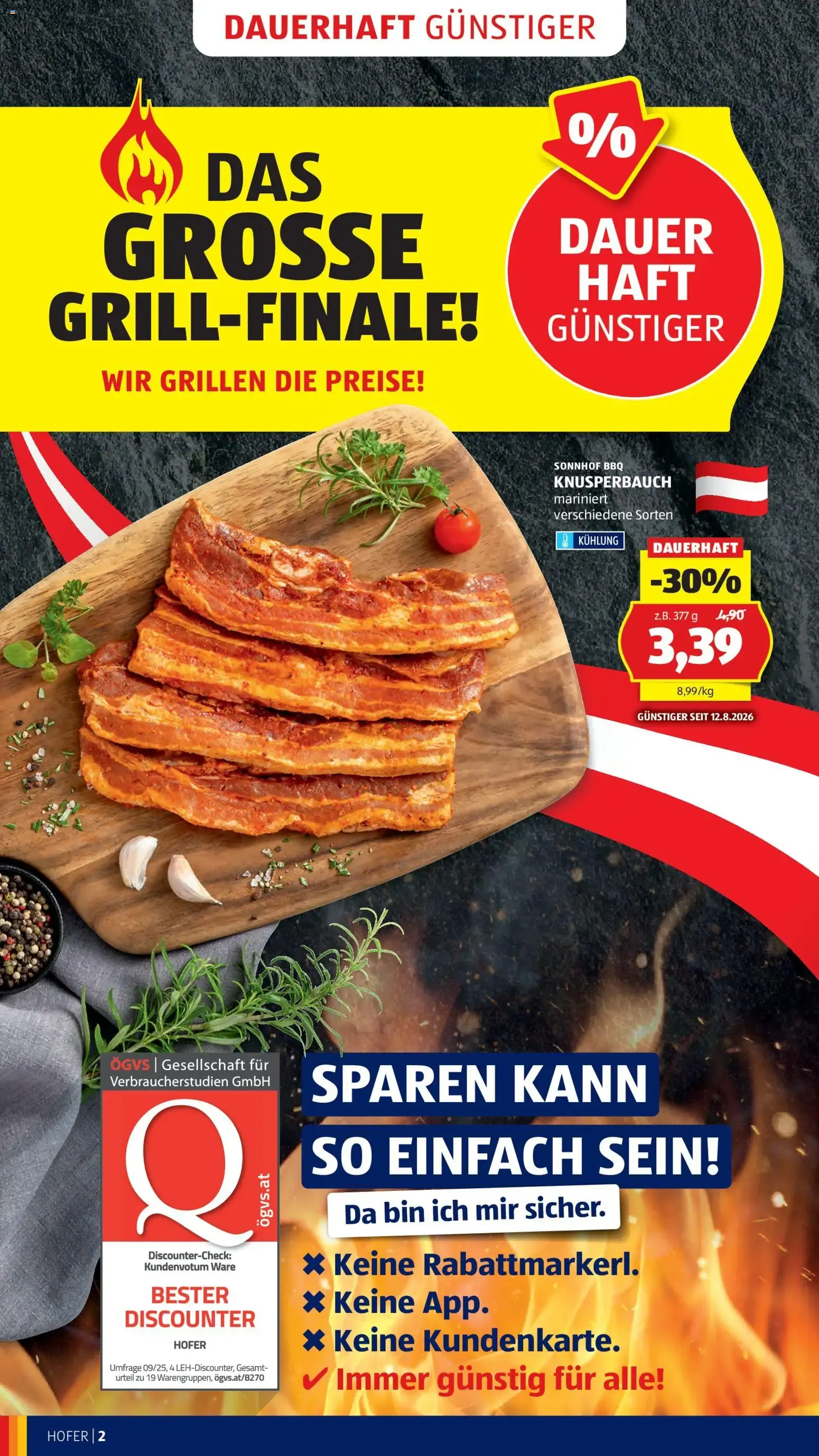 Hofer Flugblatt del 12 al 20 de Agosto - Gran Final de Parrillada y Ofertas von 12. August bis 20. August 2026 - Flugblätt seite  4
