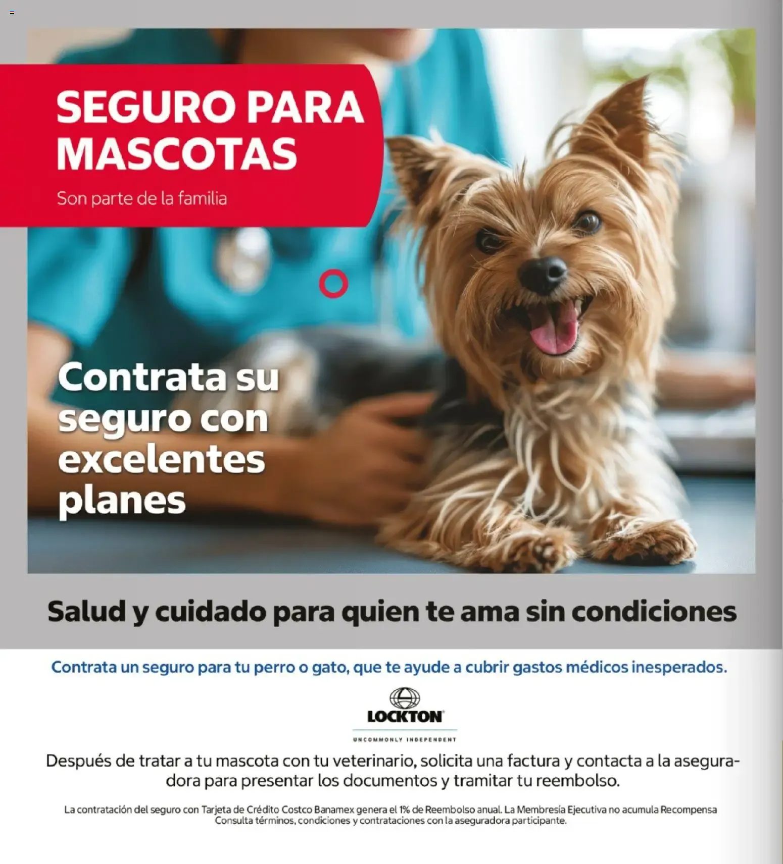 Catálogo de Siete dias de Treasure Hunt Fest 26 de octubre al 1 de noviembre 2026 - Pagina 4