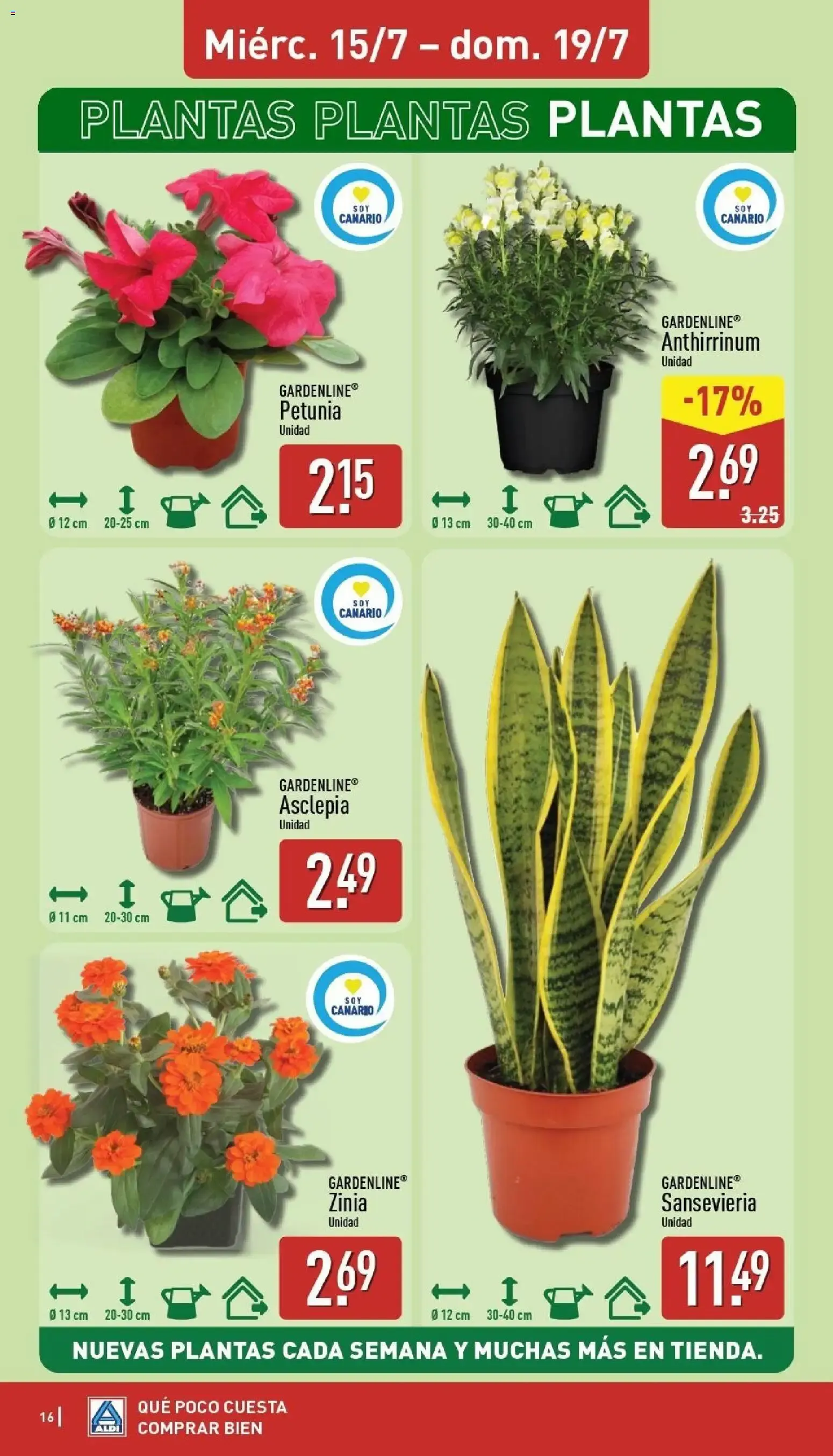 Catálogo de Aldi | 4 Años en Canarias 13 de julio al 19 de julio 2026 - Página 16