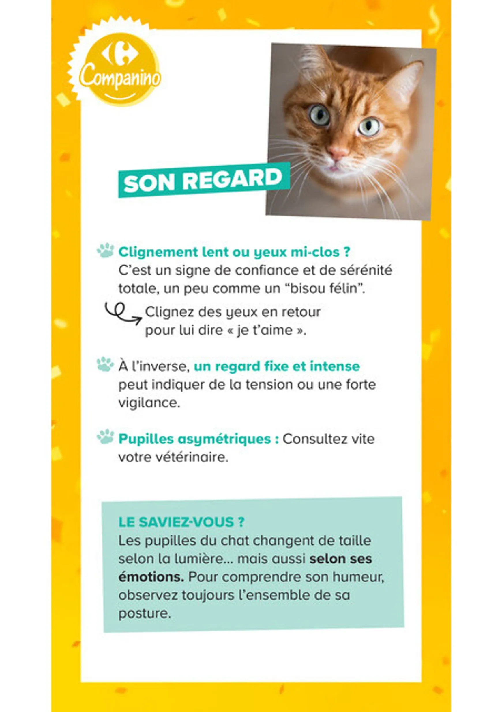 Current Carrefour Market - Découvrez la Marque Carrefour Companino leaflet valid from du mardi 04/08/2026 to du lundi 07/09/2026 du 4 août au 7 septembre 2026 - Catalogue page 15